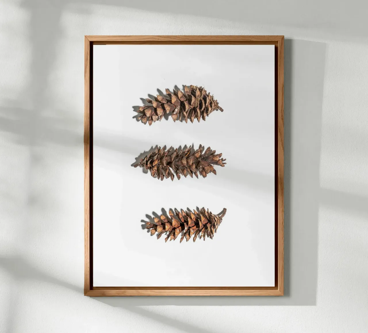 Pine cone art - Minimalist nature design forex plate by Whole©