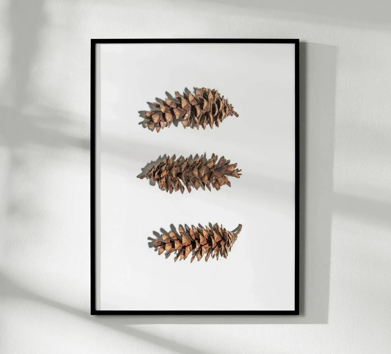 Pine cone art - Minimalist nature design hahnemühle by Whole©