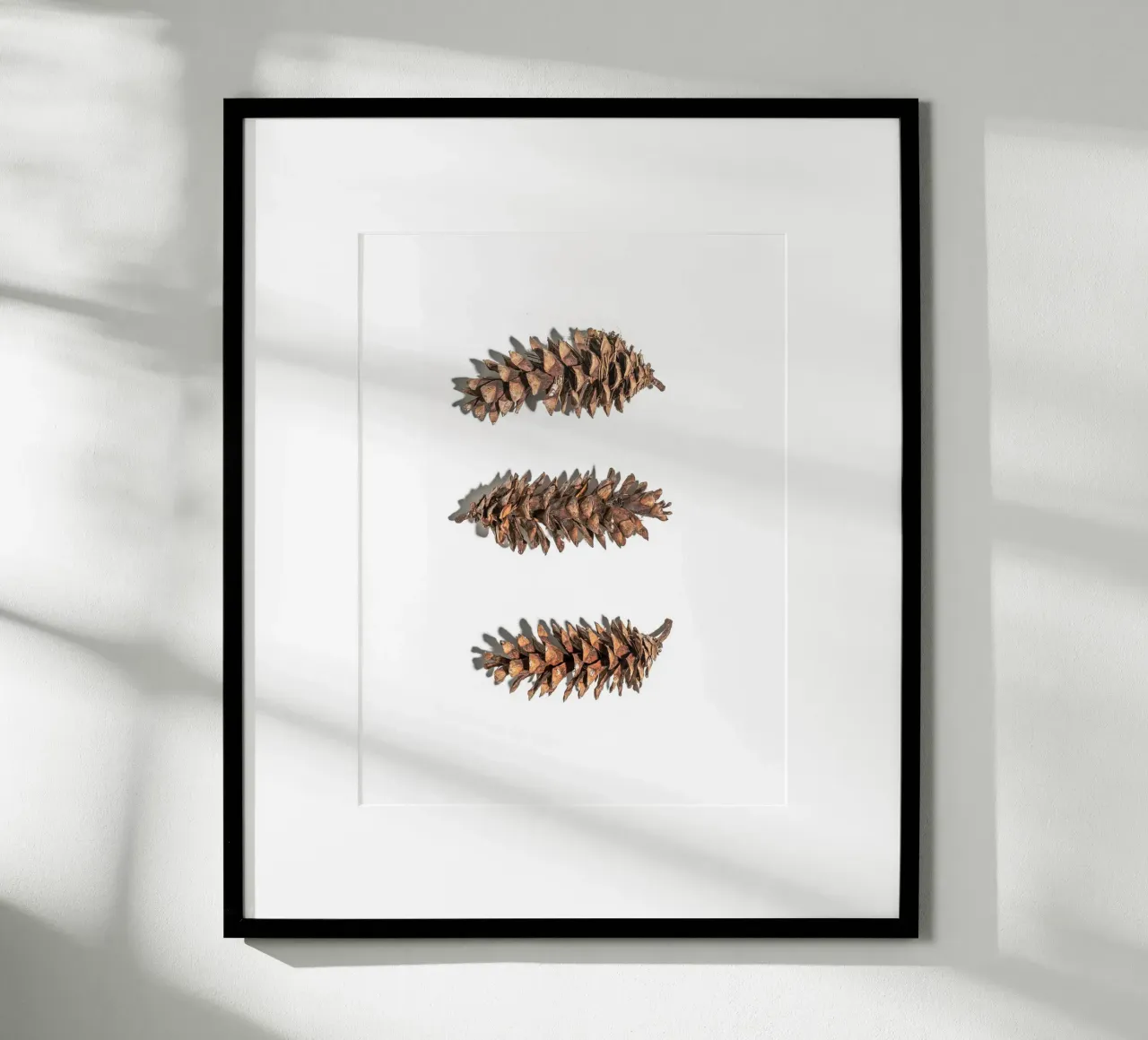 Pine cone art - Minimalist nature design hahnemühle by Whole©