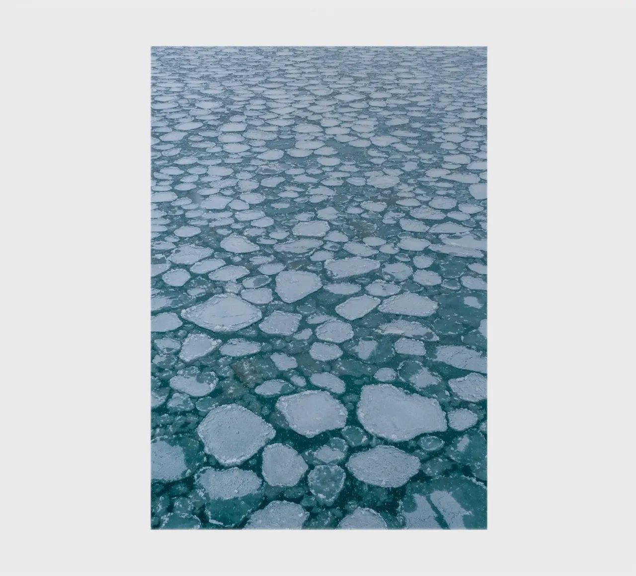 Ice floe pattern - Winter water aesthetics notebook by Whole©