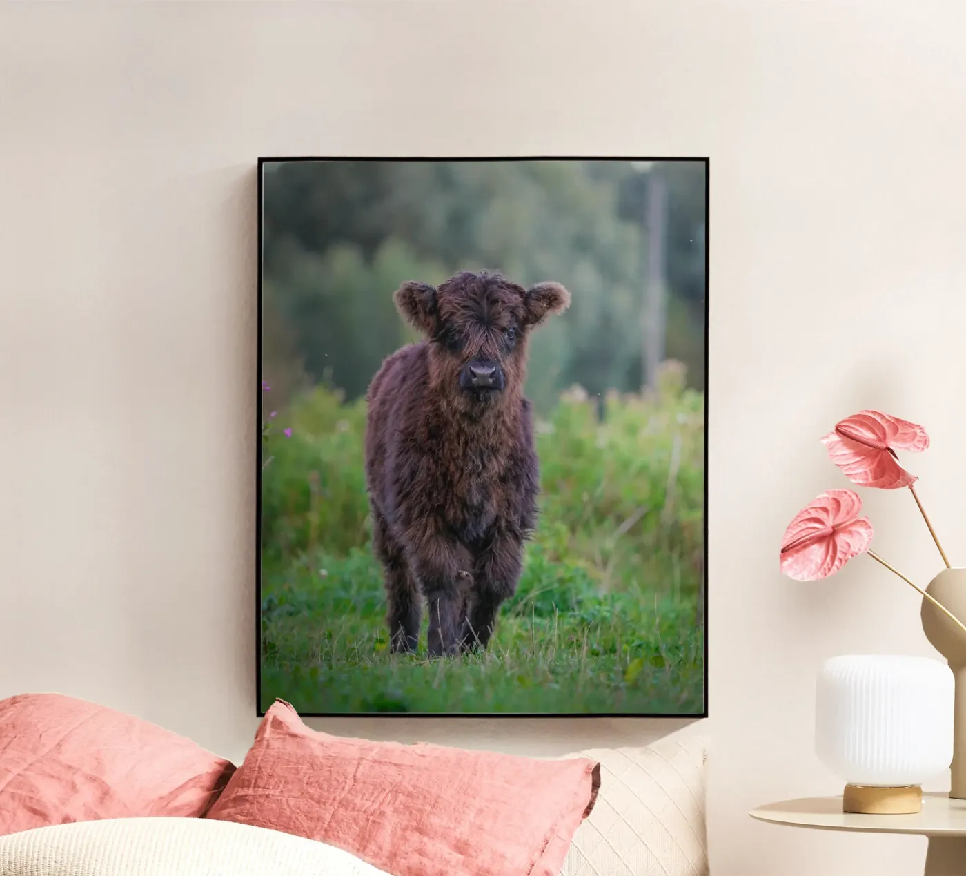 Schotse Hooglander plexiglass da Tom's Wildlife