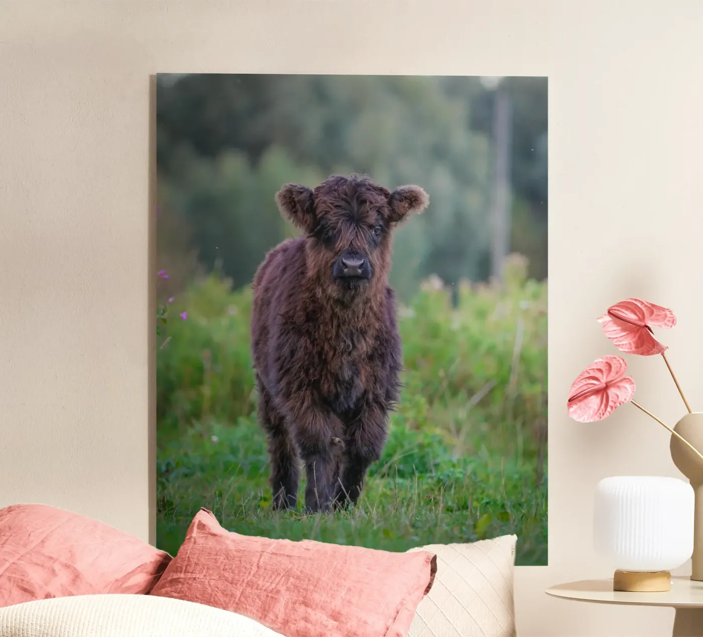 Schotse Hooglander plexiglass da Tom's Wildlife