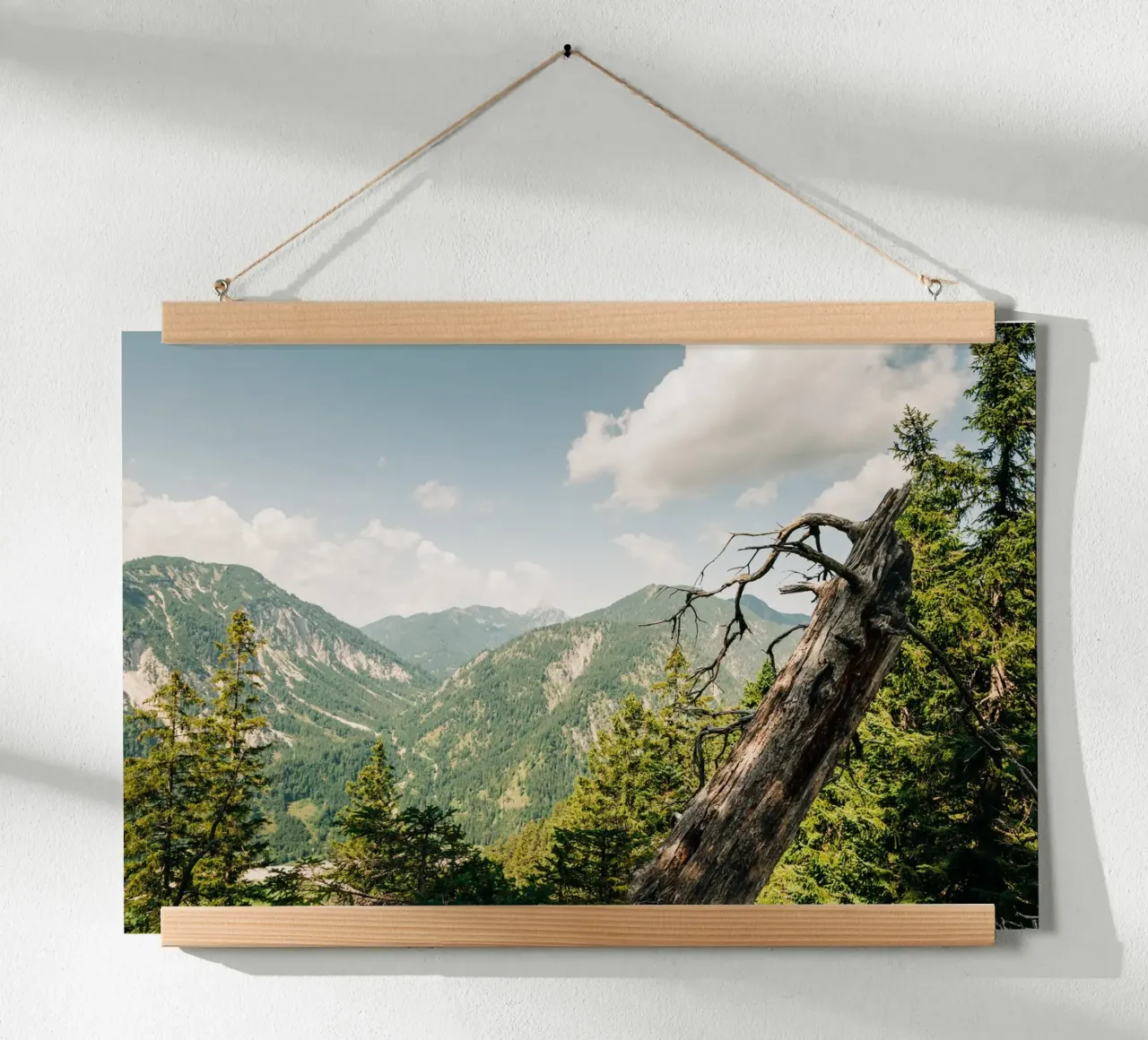 Summery Alpine landscape - views of mountains and forests poster by Bold and Retro