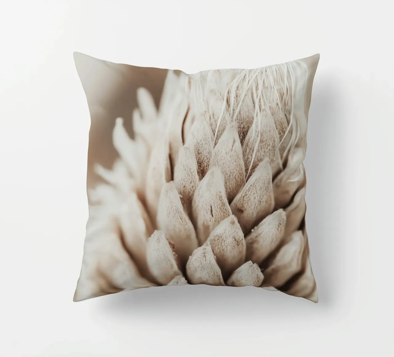 Dry Flower Detail decorative cushion by treechild