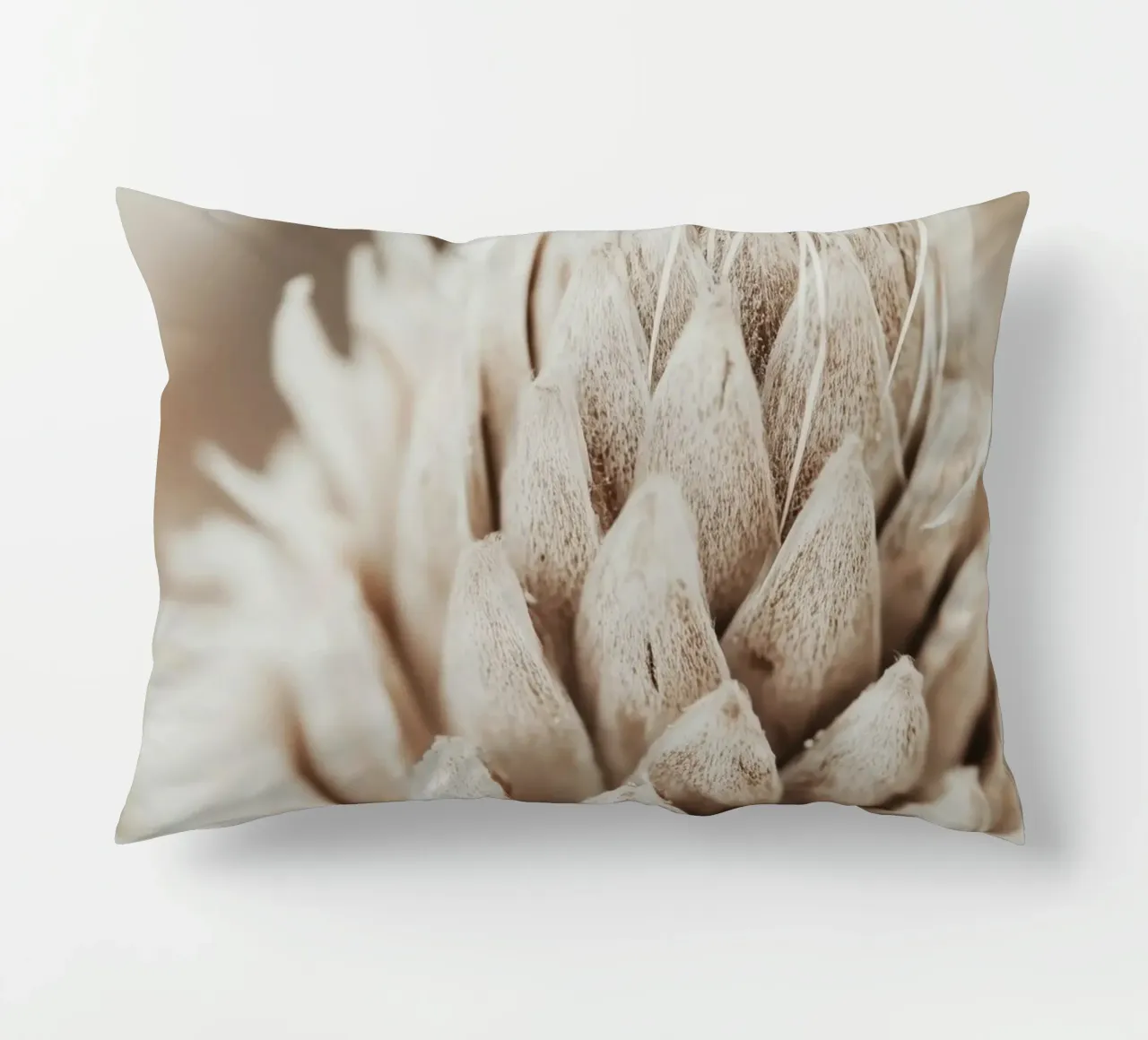 Dry Flower Detail decorative cushion by treechild