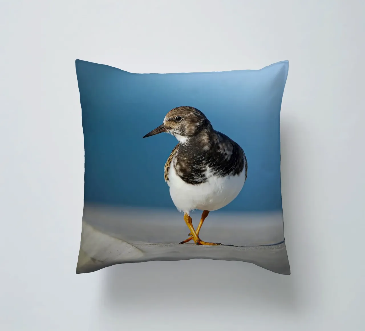 Ruddy Turnstone cuscino da Tom's Wildlife
