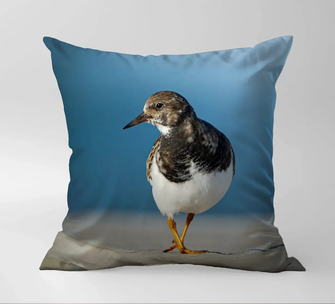 Ruddy Turnstone cuscino da Tom's Wildlife