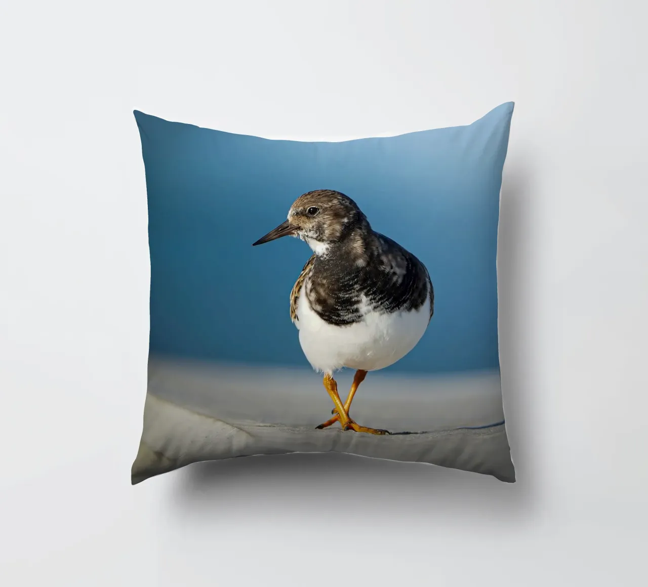 Ruddy Turnstone cuscino da Tom's Wildlife
