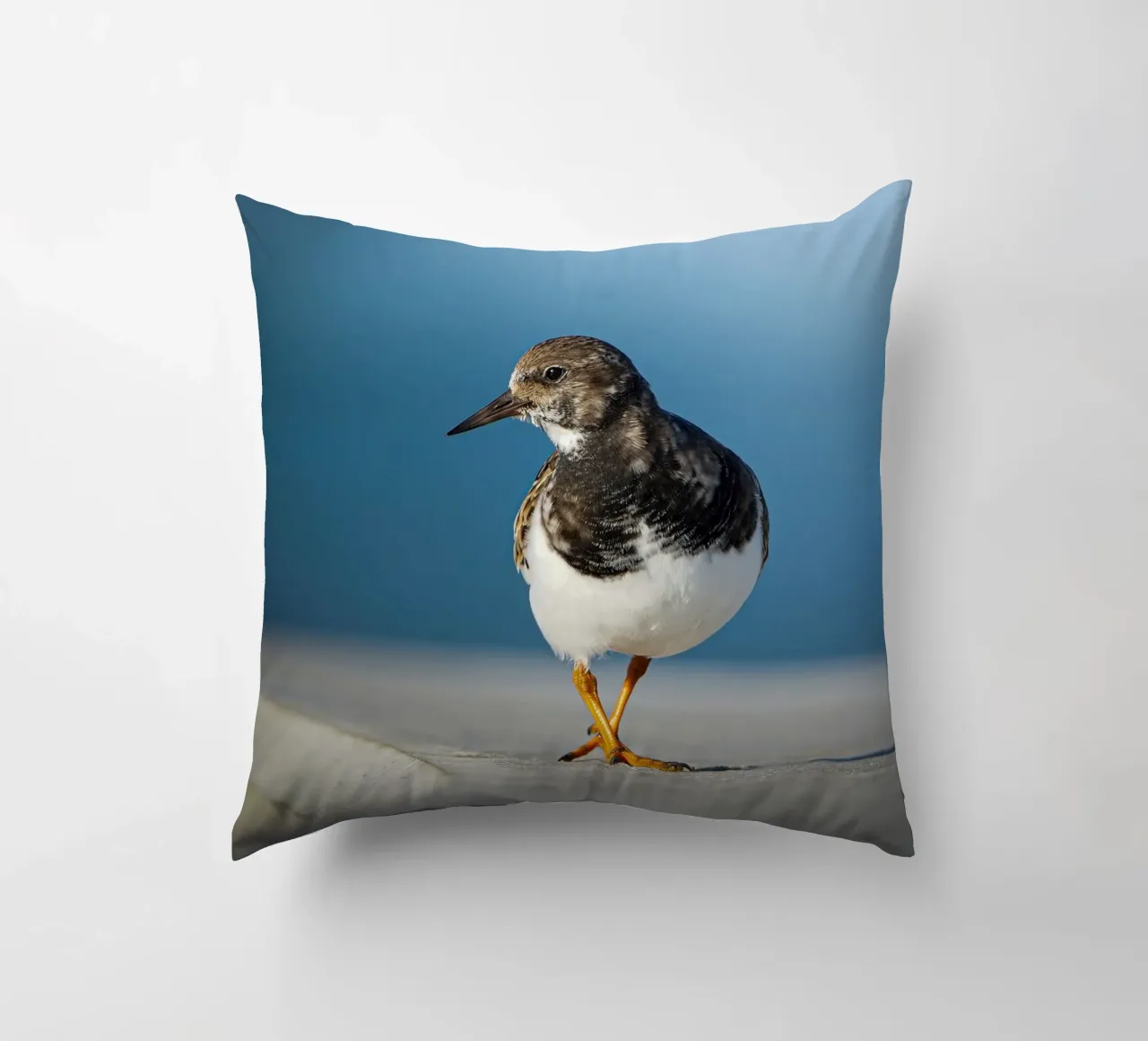 Ruddy Turnstone cuscino da Tom's Wildlife