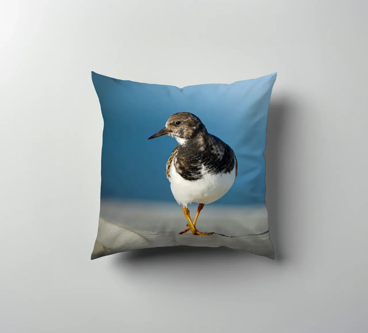 Ruddy Turnstone cuscino da Tom's Wildlife