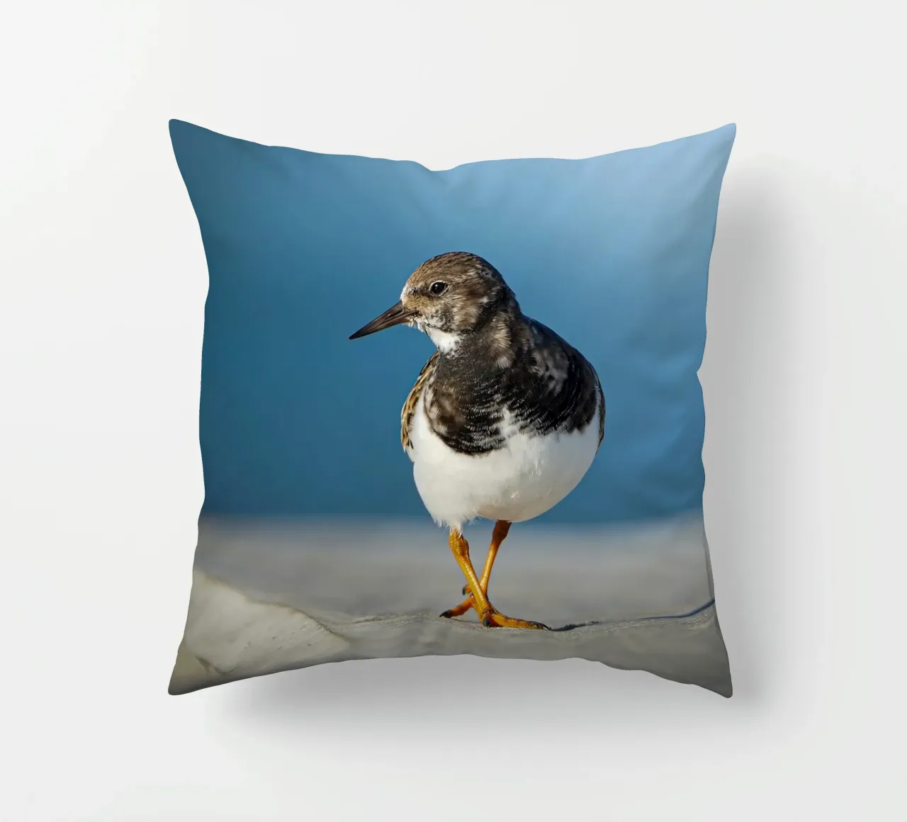 Ruddy Turnstone cuscino da Tom's Wildlife