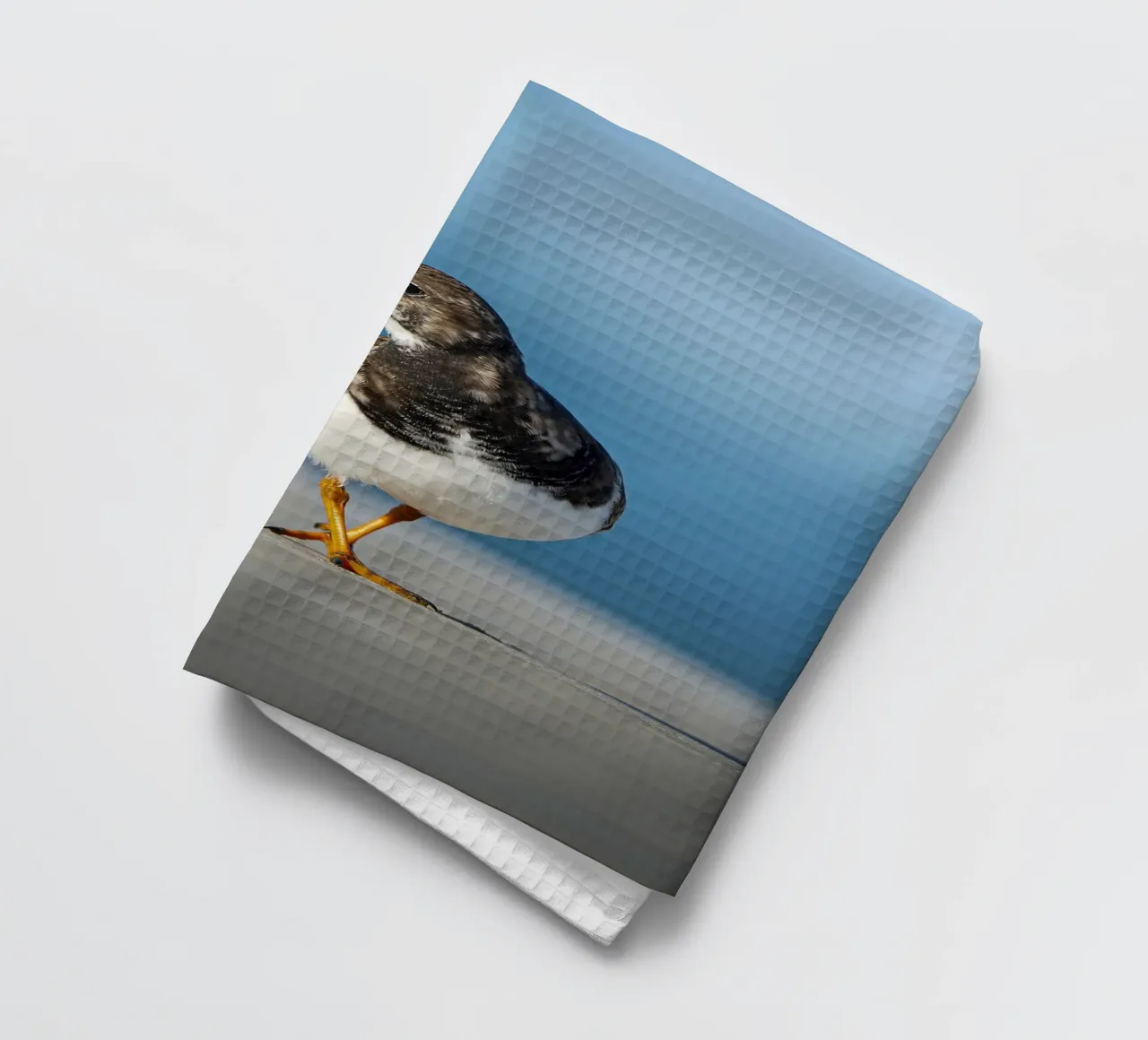 Ruddy Turnstone canovaccio da cucina da Tom's Wildlife