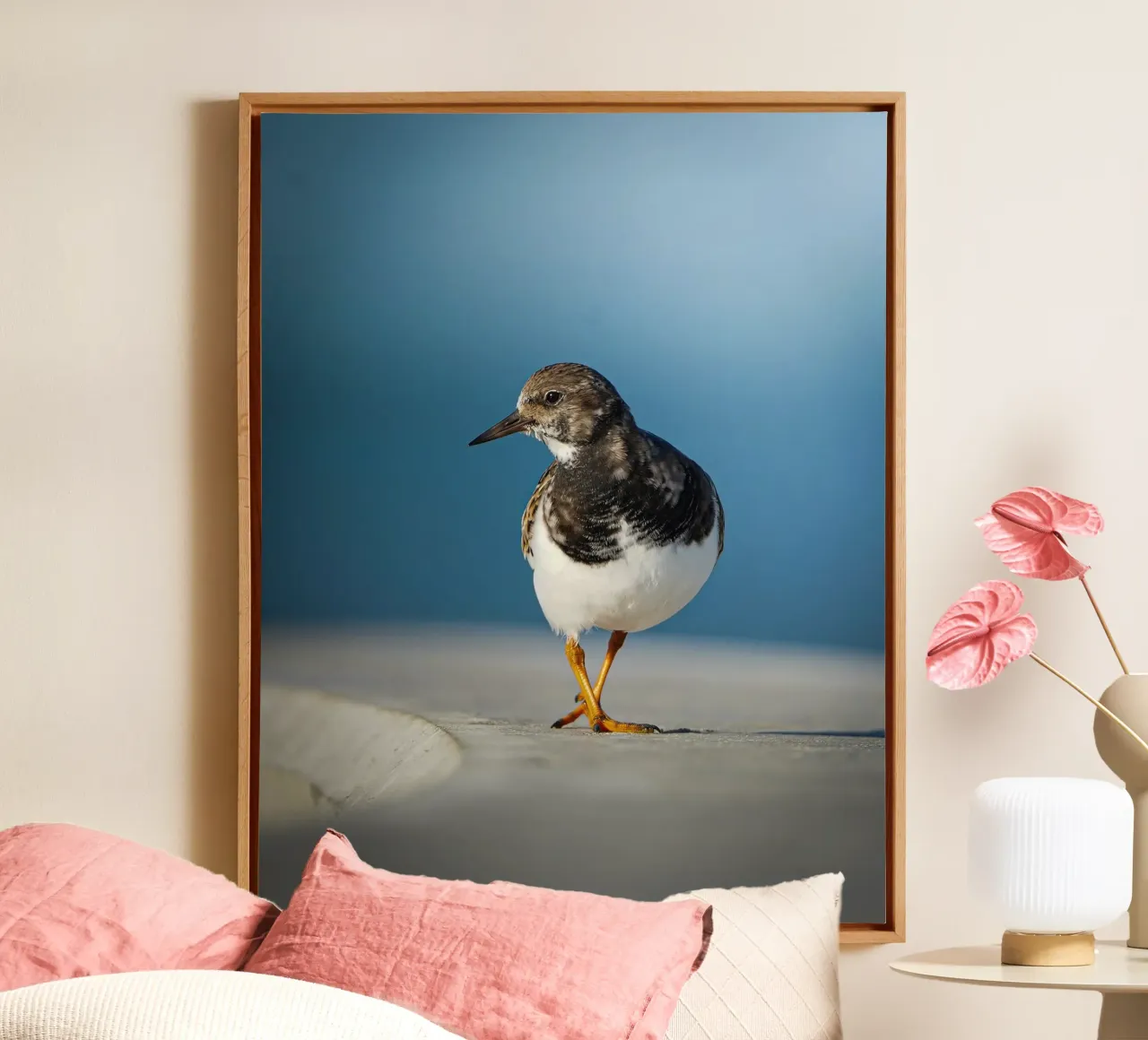 Ruddy Turnstone canvas by Tom's Wildlife