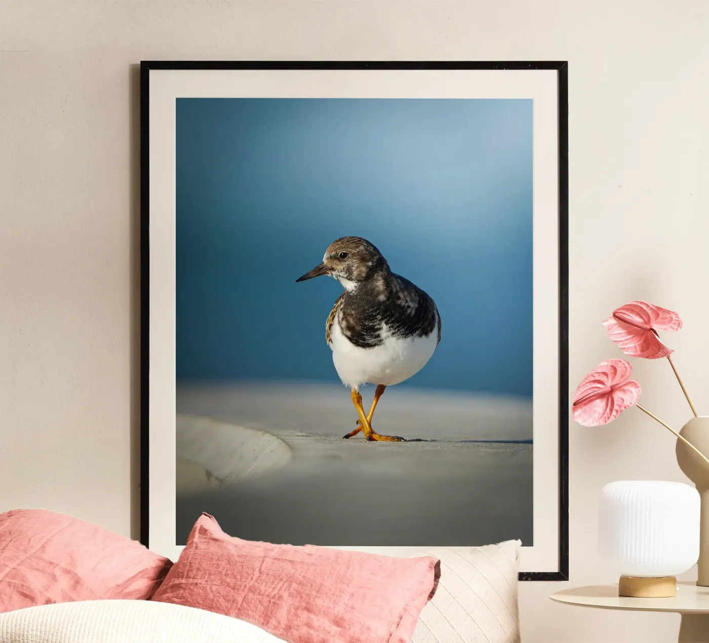 Ruddy Turnstone poster da Tom's Wildlife