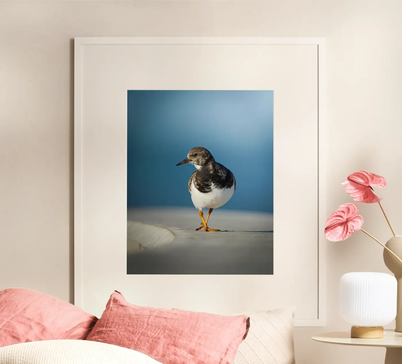 Ruddy Turnstone poster da Tom's Wildlife