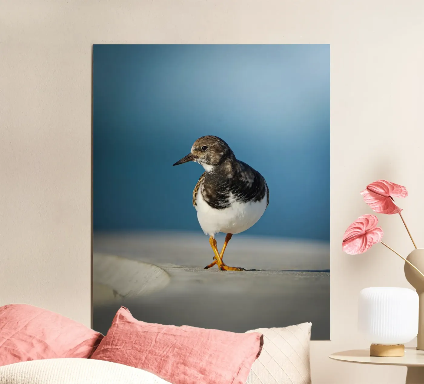 Ruddy Turnstone poster da Tom's Wildlife