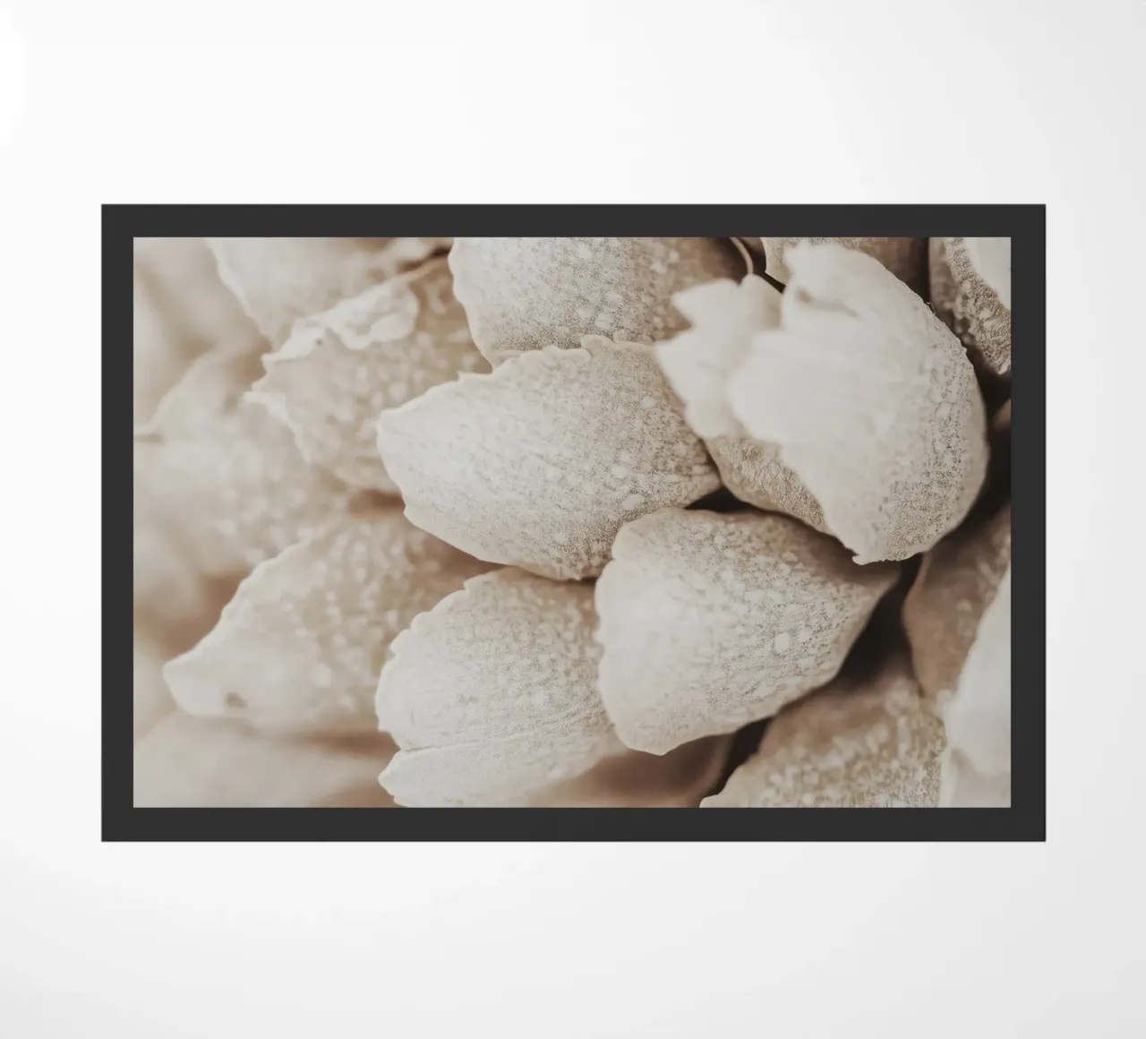 Dry Flower Detail zerbino da treechild
