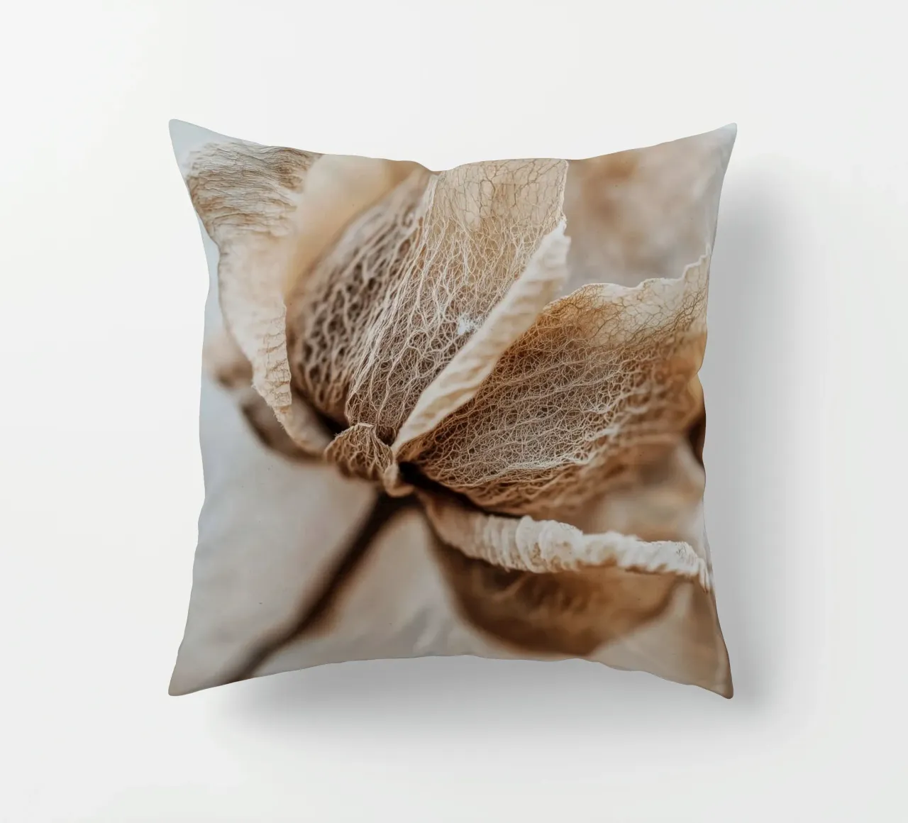 Dry Flower Detail No 3 cuscino da treechild