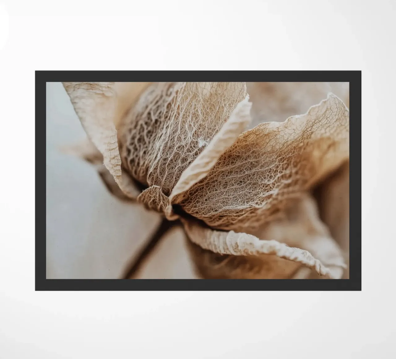 Dry Flower Detail No 3 zerbino da treechild