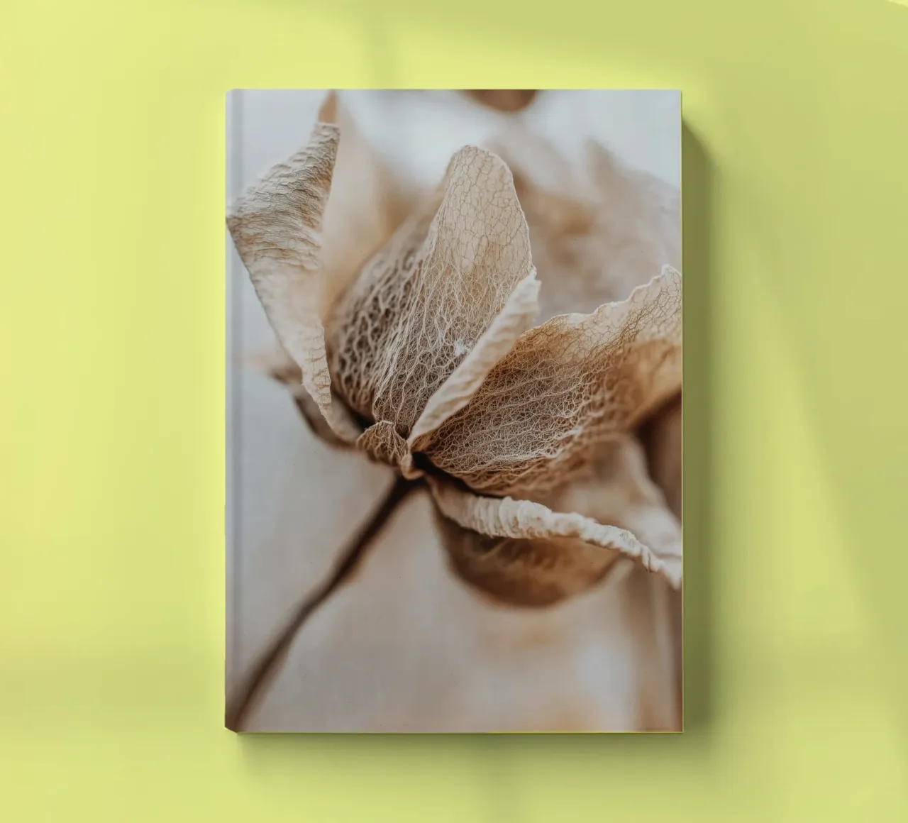 Dry Flower Detail No 3 notebook by treechild
