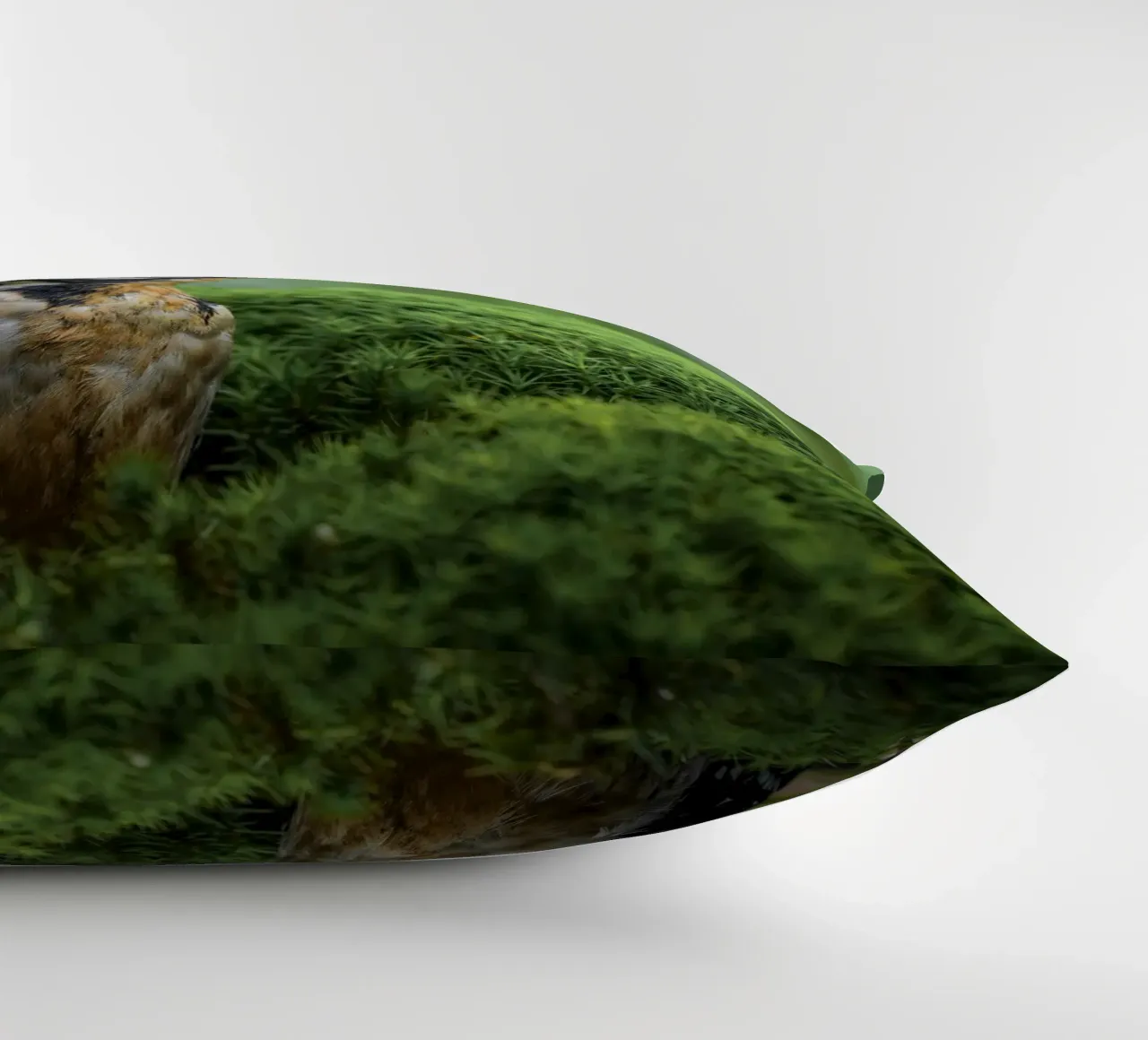 Picchio cuscino da Tom's Wildlife