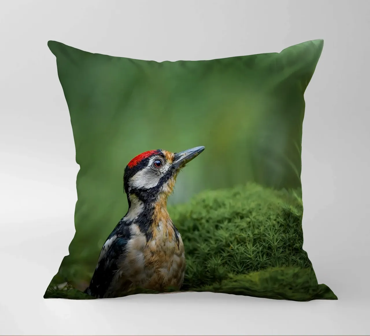 Picchio cuscino da Tom's Wildlife