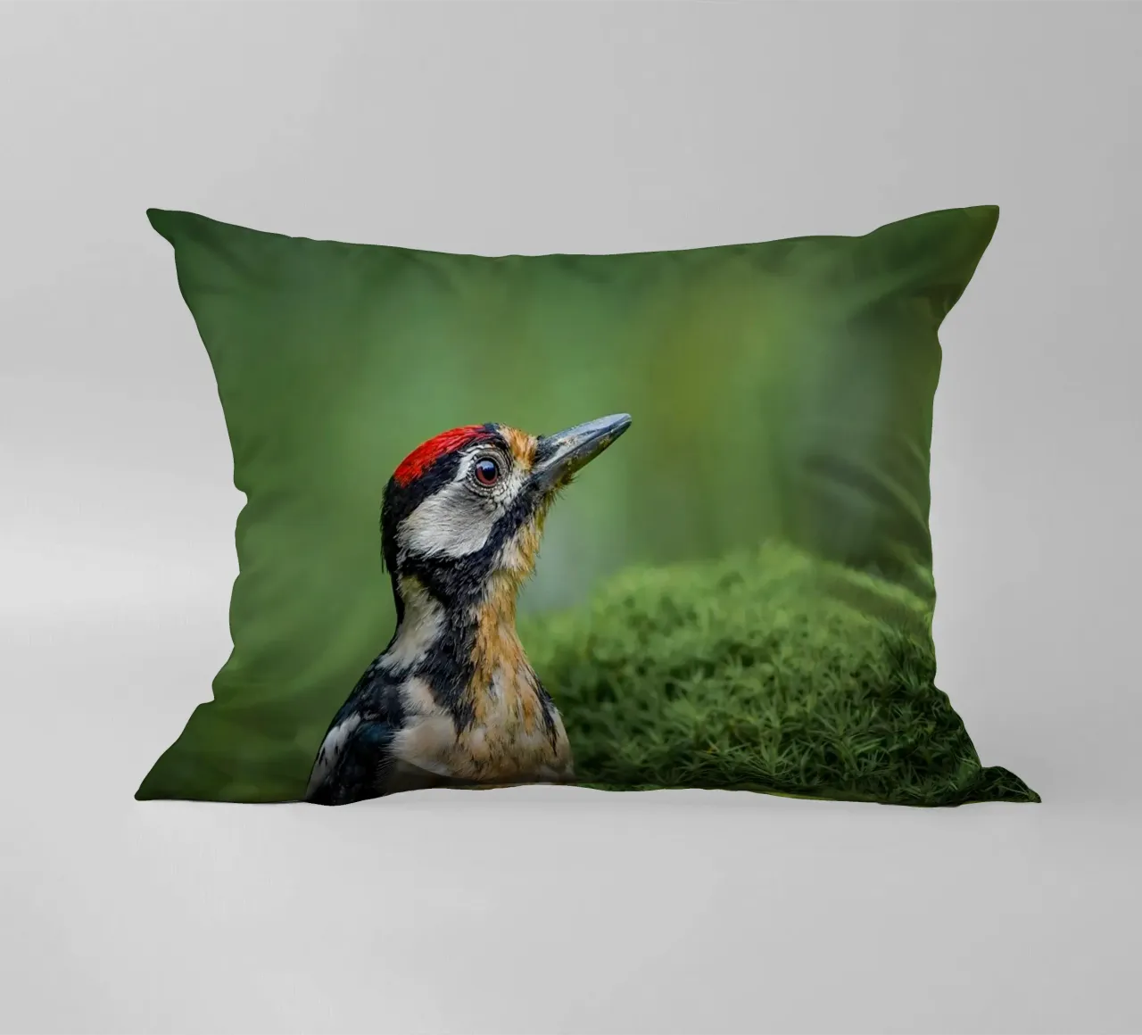 Picchio cuscino da Tom's Wildlife