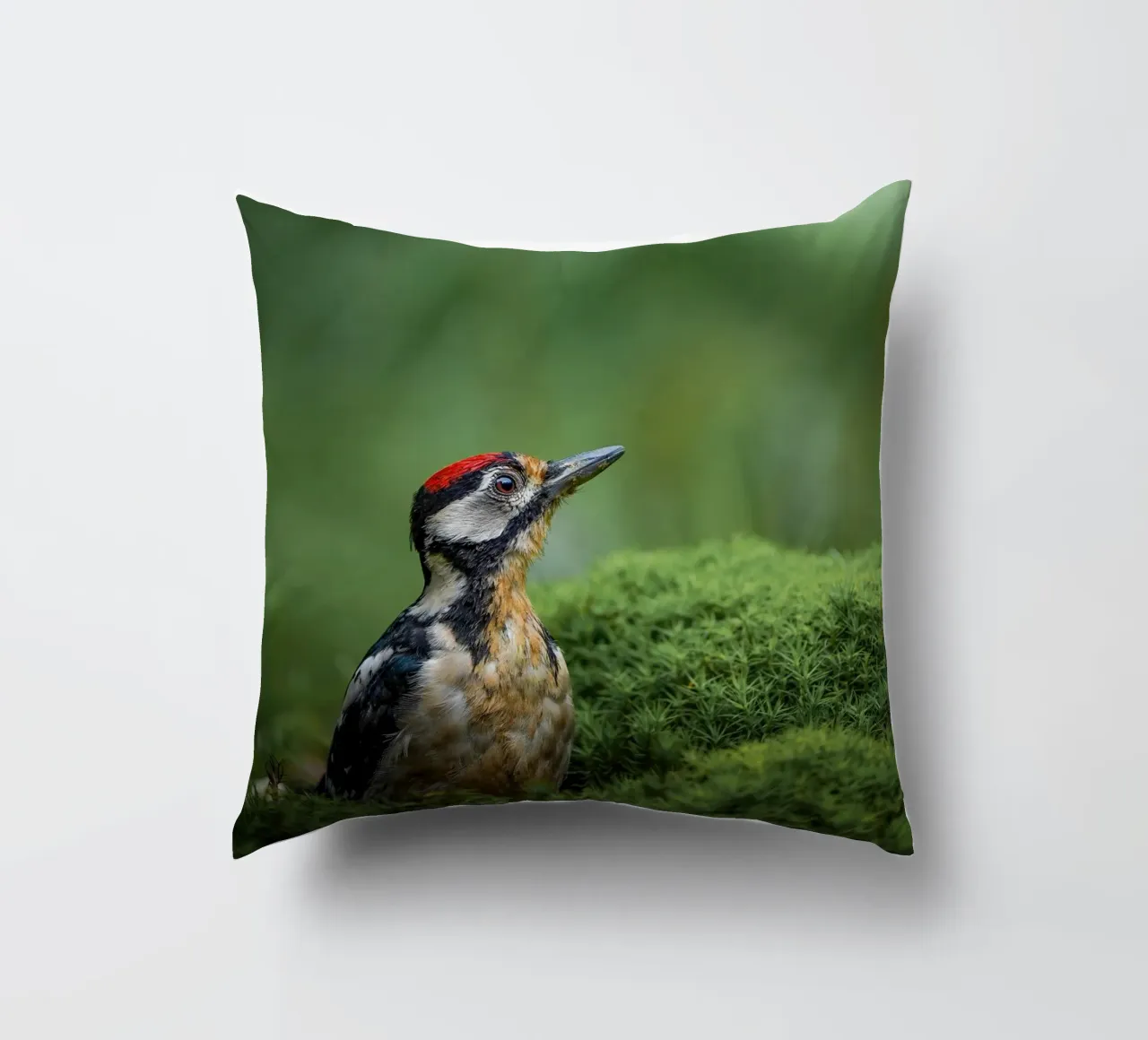 Picchio cuscino da Tom's Wildlife