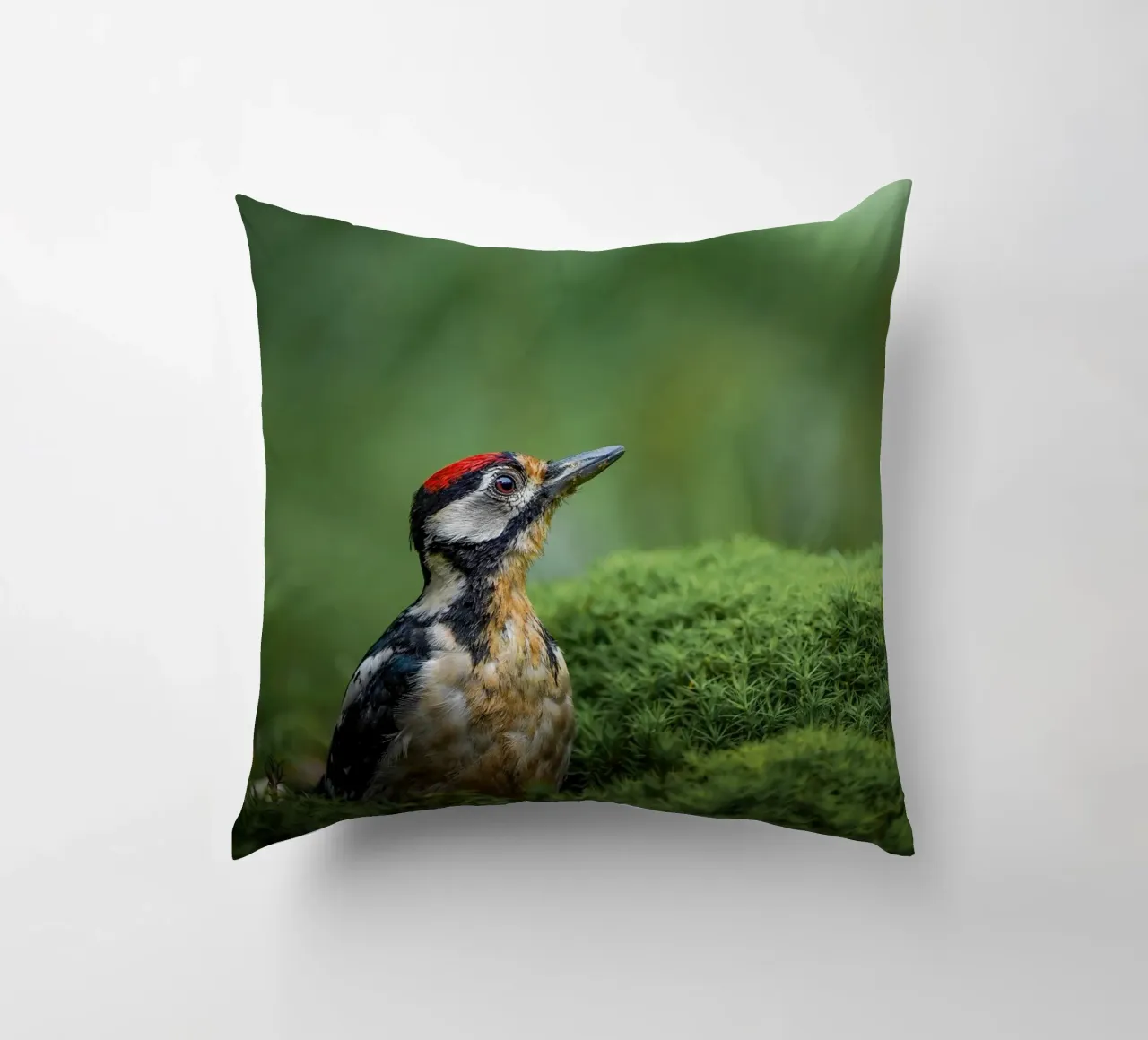 Picchio cuscino da Tom's Wildlife