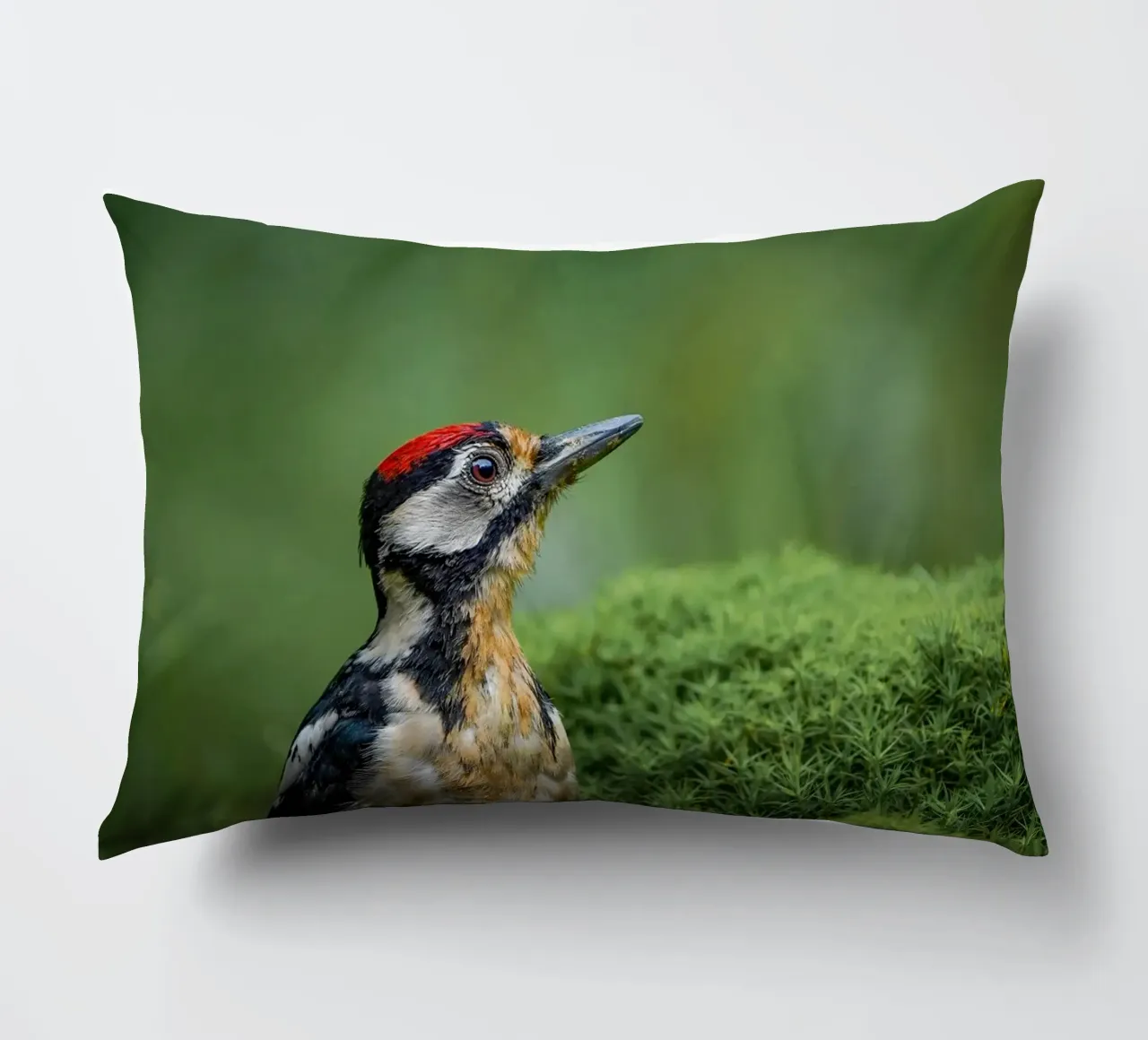 Picchio cuscino da Tom's Wildlife