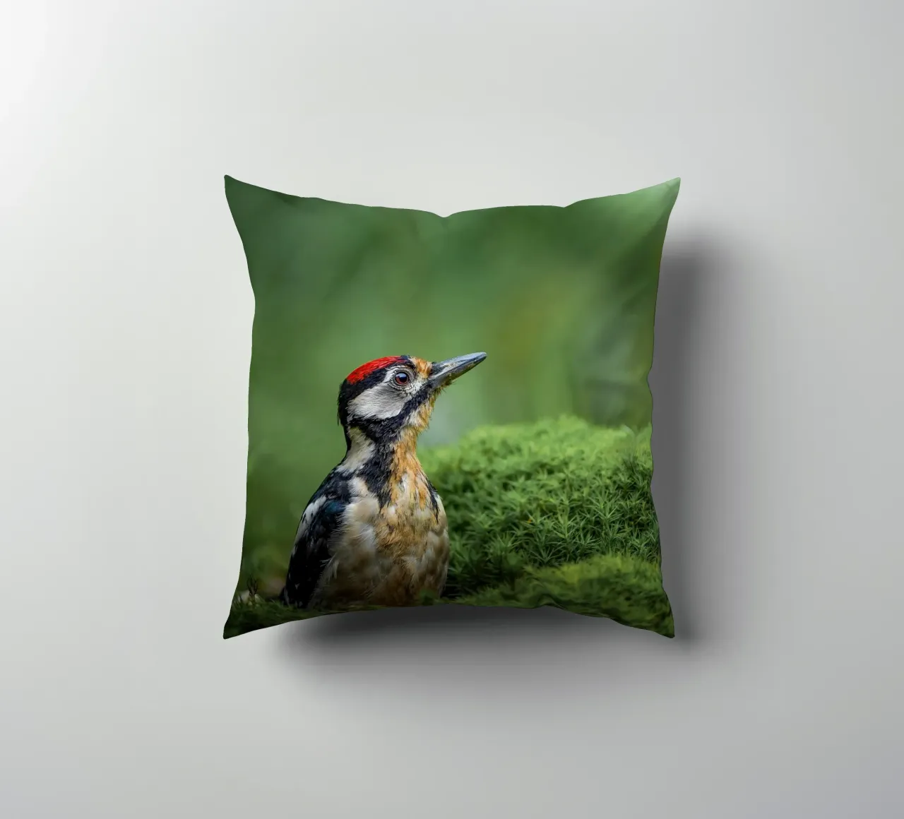 Picchio cuscino da Tom's Wildlife