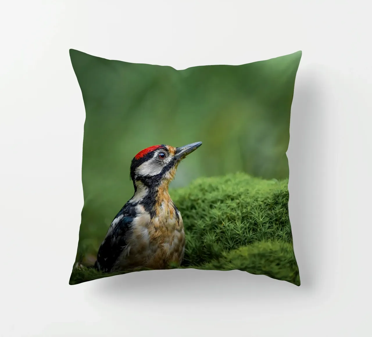 Picchio cuscino da Tom's Wildlife