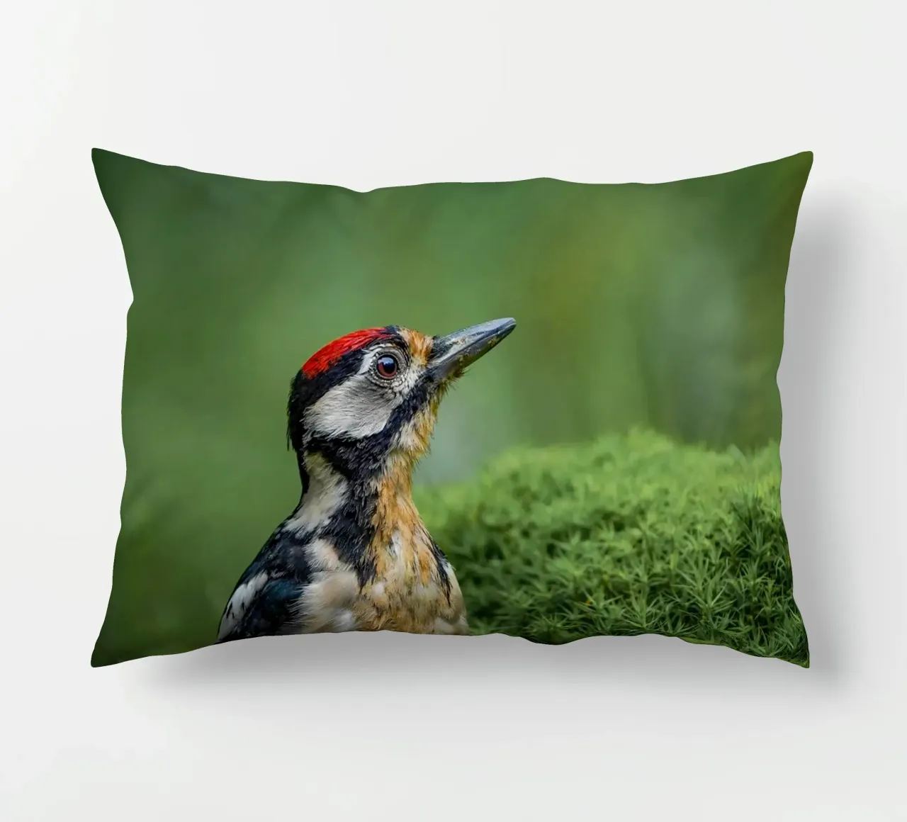 Picchio cuscino da Tom's Wildlife