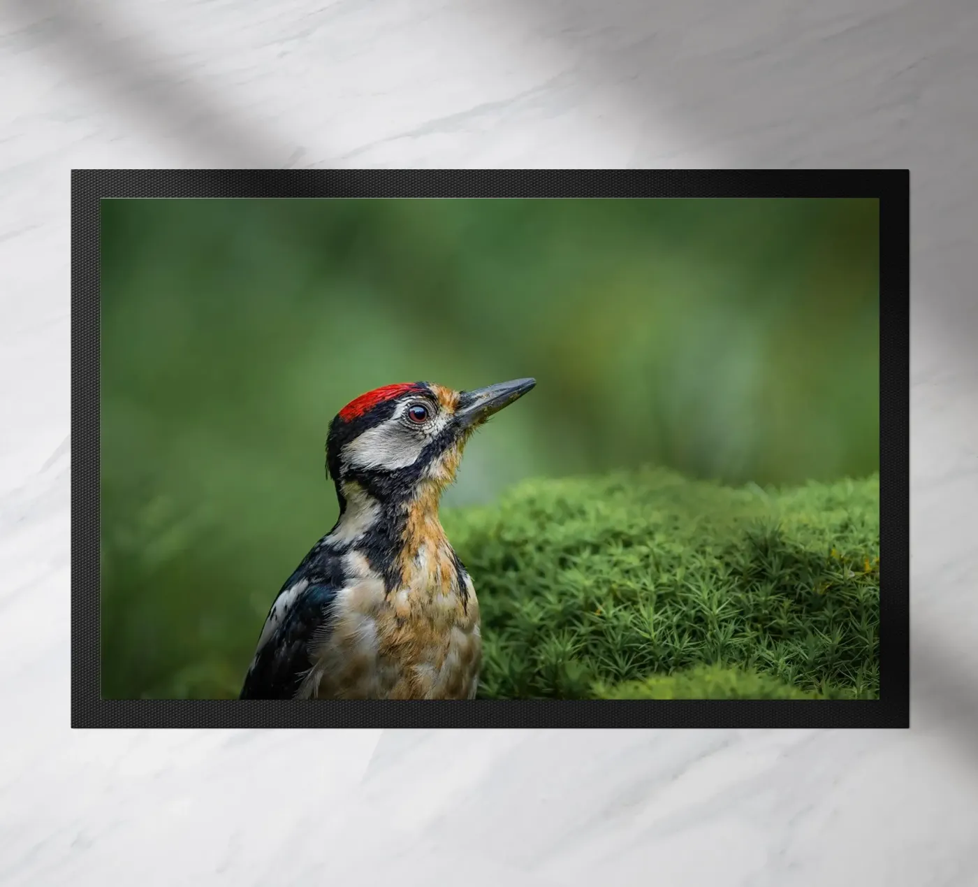 Woodpecker doormat by Tom's Wildlife