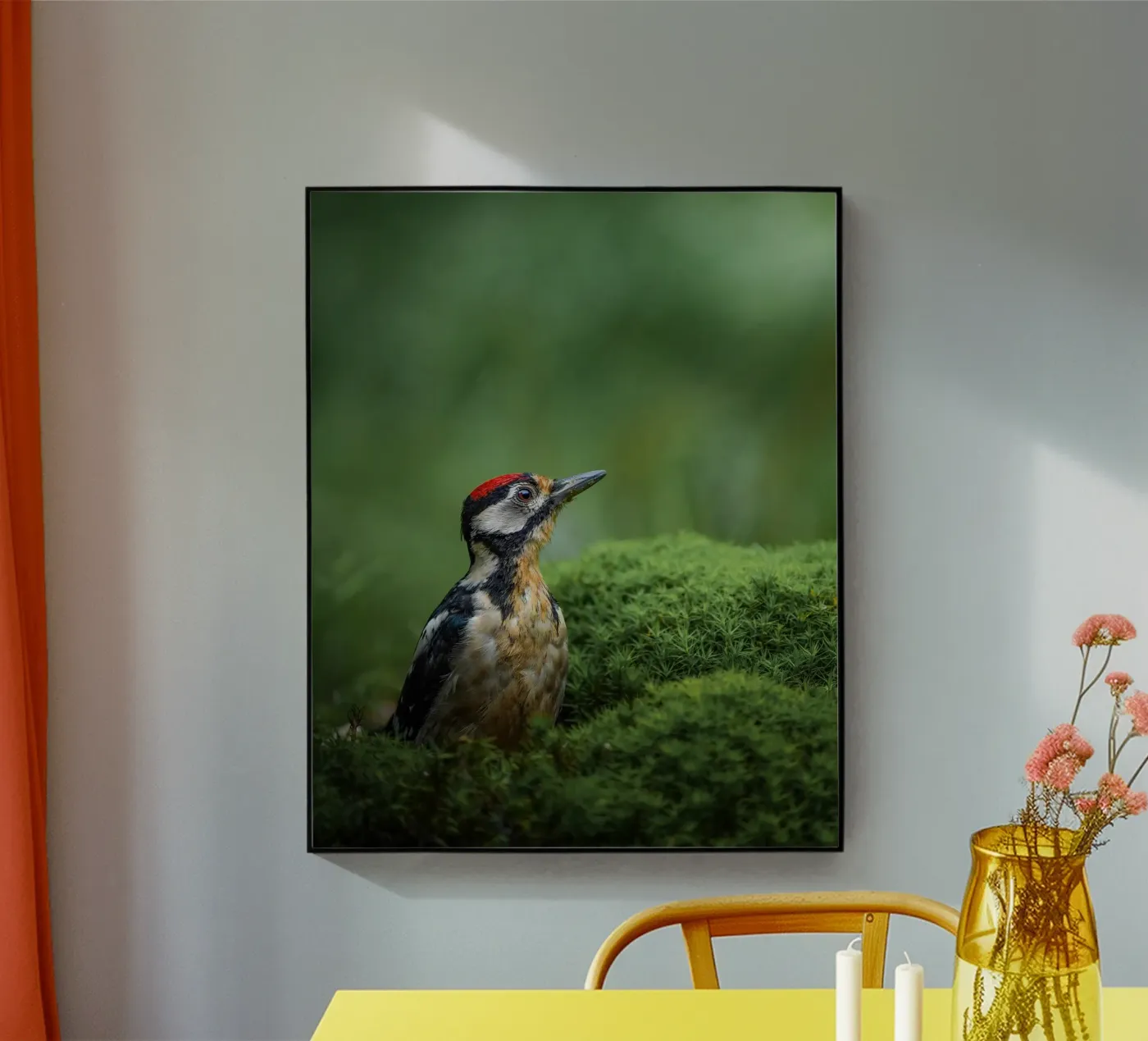 Pivert plexiglas de Tom's Wildlife