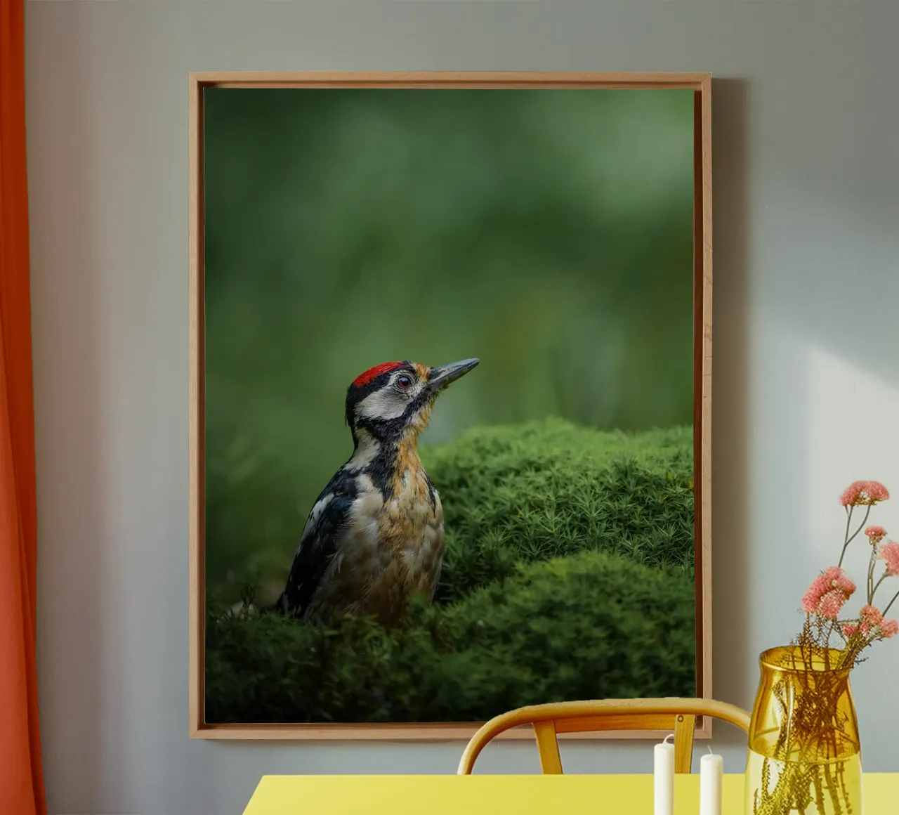 Picchio tela con Cornice a cassetta da Tom's Wildlife