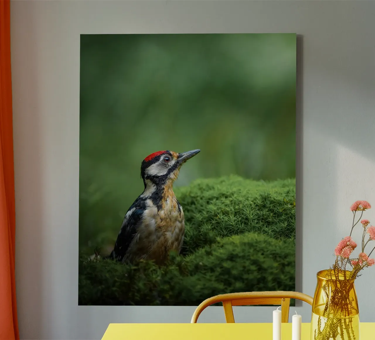 Picchio tela con Cornice a cassetta da Tom's Wildlife