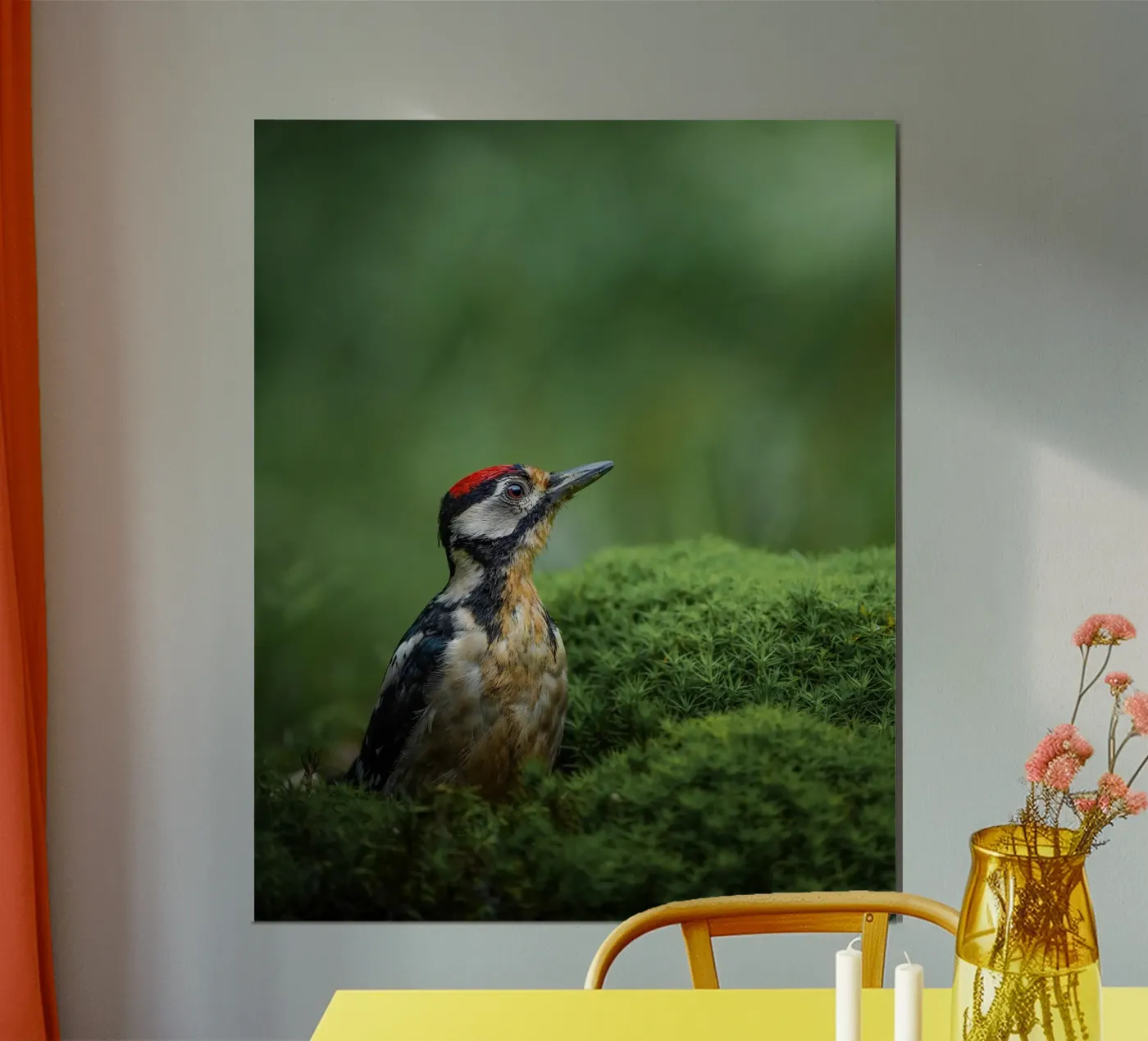 Woodpecker Poster von Tom's Wildlife