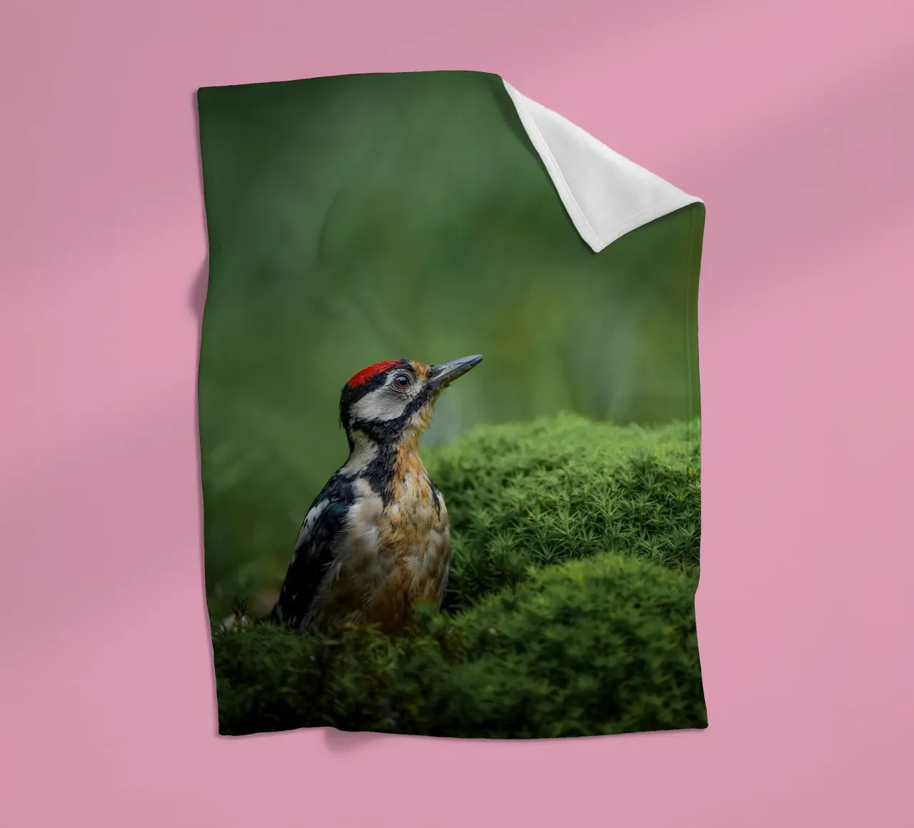 Specht Fleecedecke von Tom's Wildlife