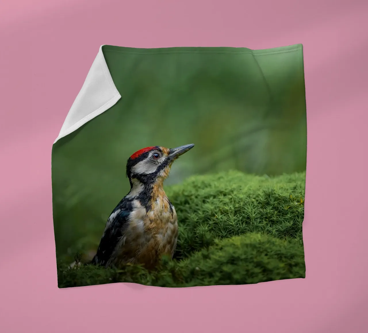 Specht Fleecedecke von Tom's Wildlife