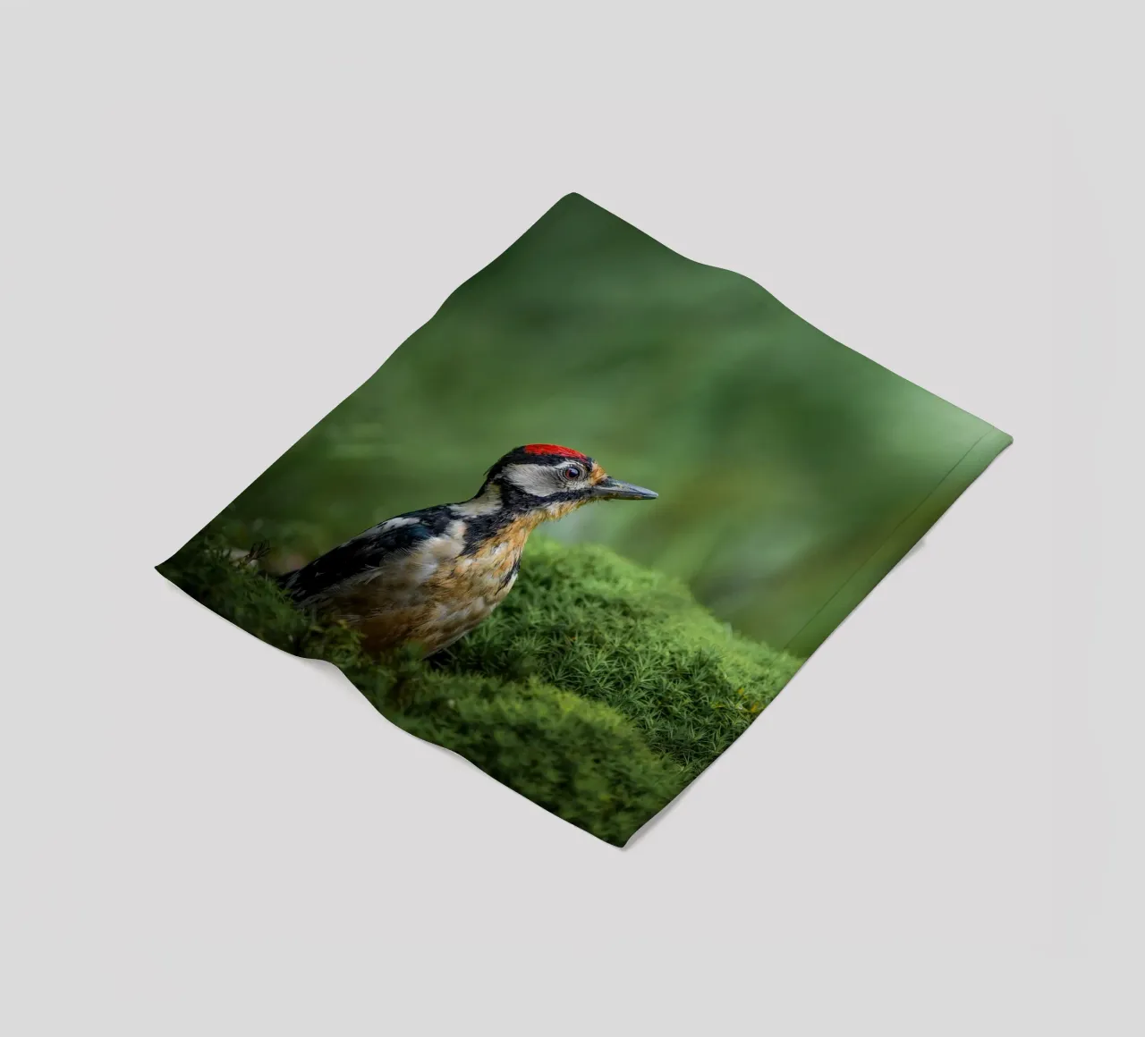 Specht Fleecedecke von Tom's Wildlife