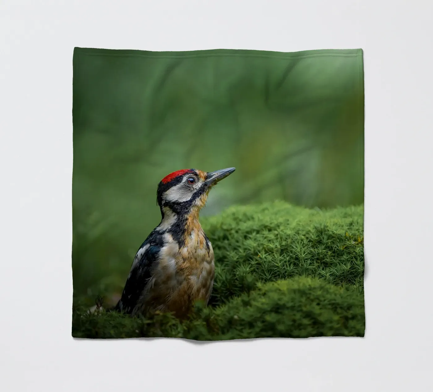 Woodpecker Fleecedecke von Tom's Wildlife
