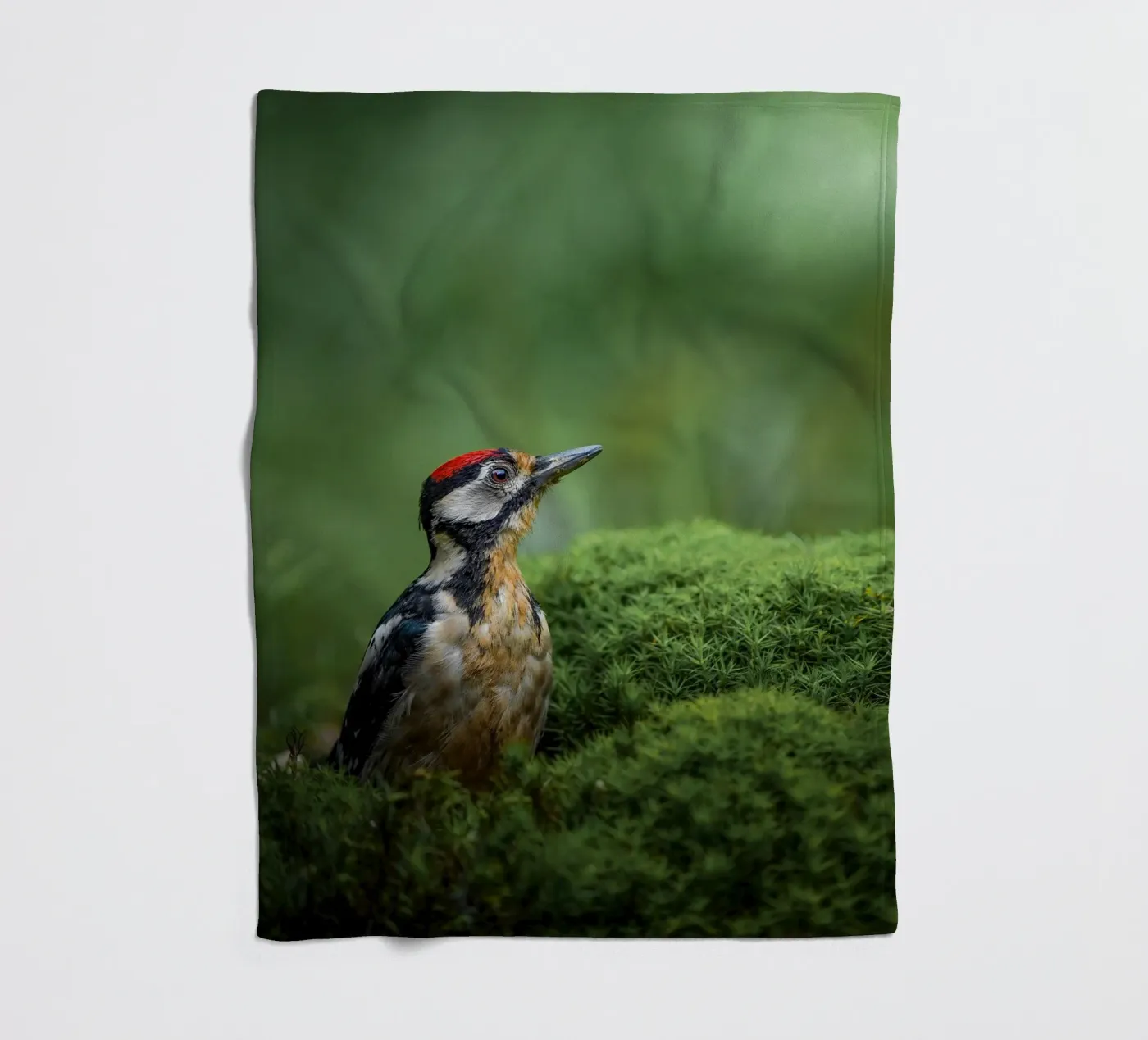 Woodpecker Fleecedecke von Tom's Wildlife
