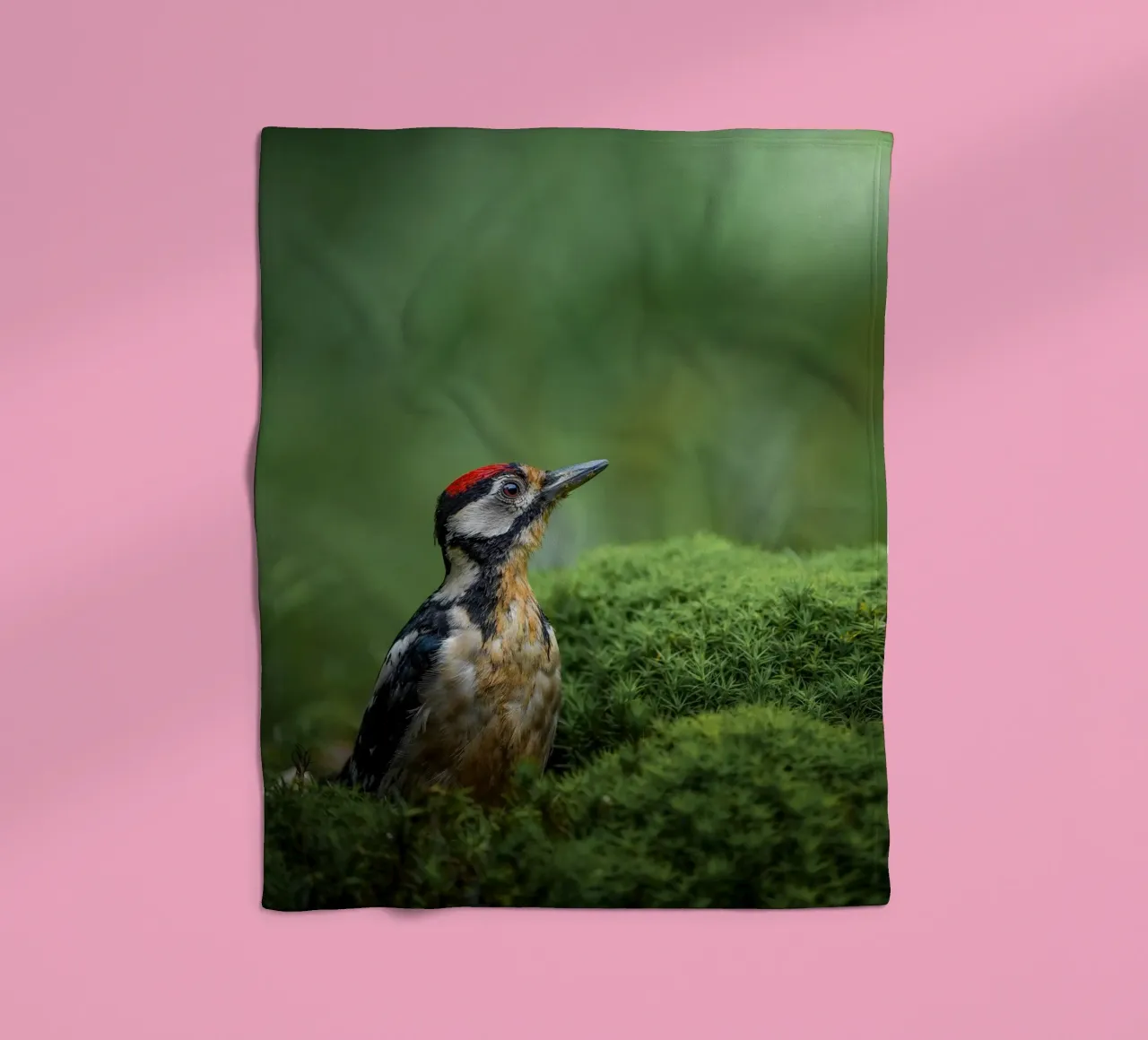 Specht Fleecedecke von Tom's Wildlife