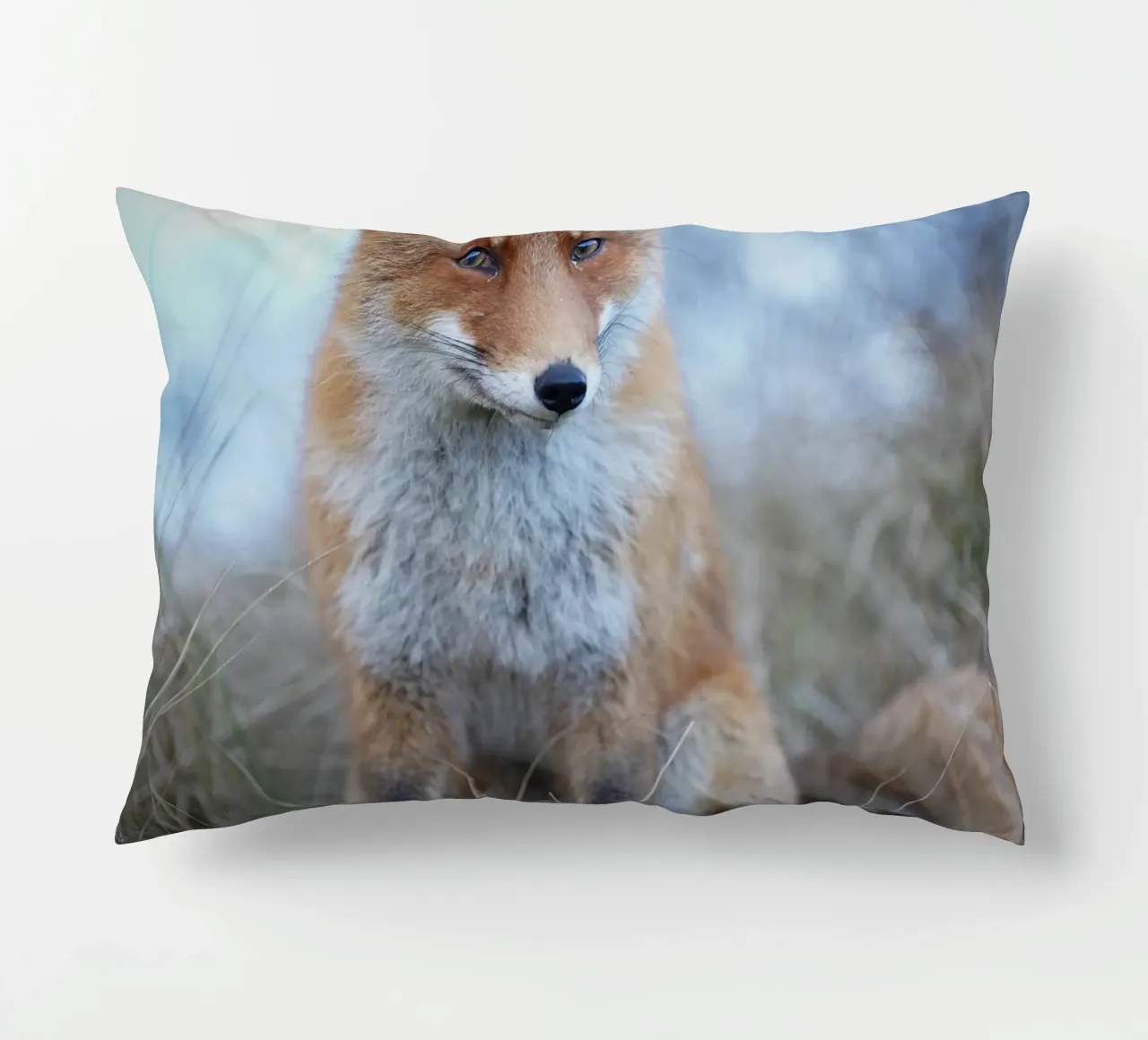 Red Fox in the dunes cuscino da Tom's Wildlife