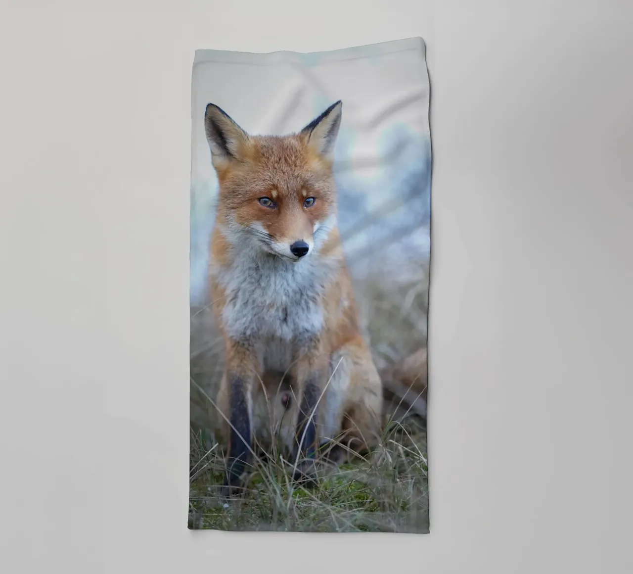 Red Fox in the dunes asciugamano da bagno da Tom's Wildlife
