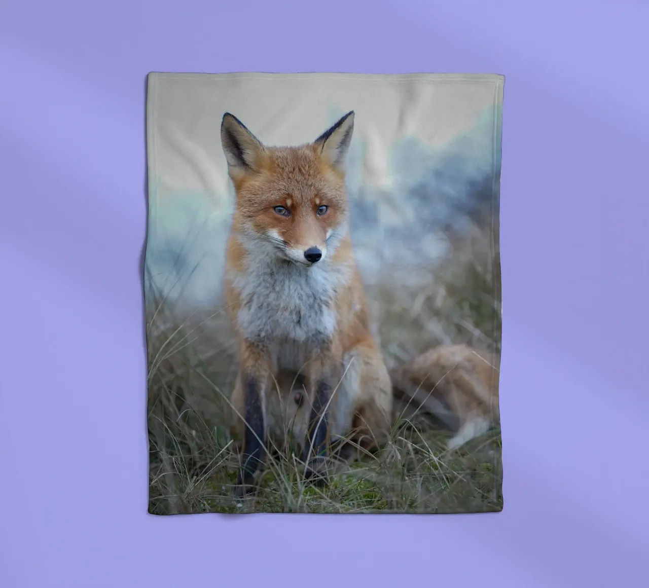 Red Fox in the dunes coperta in pile da Tom's Wildlife