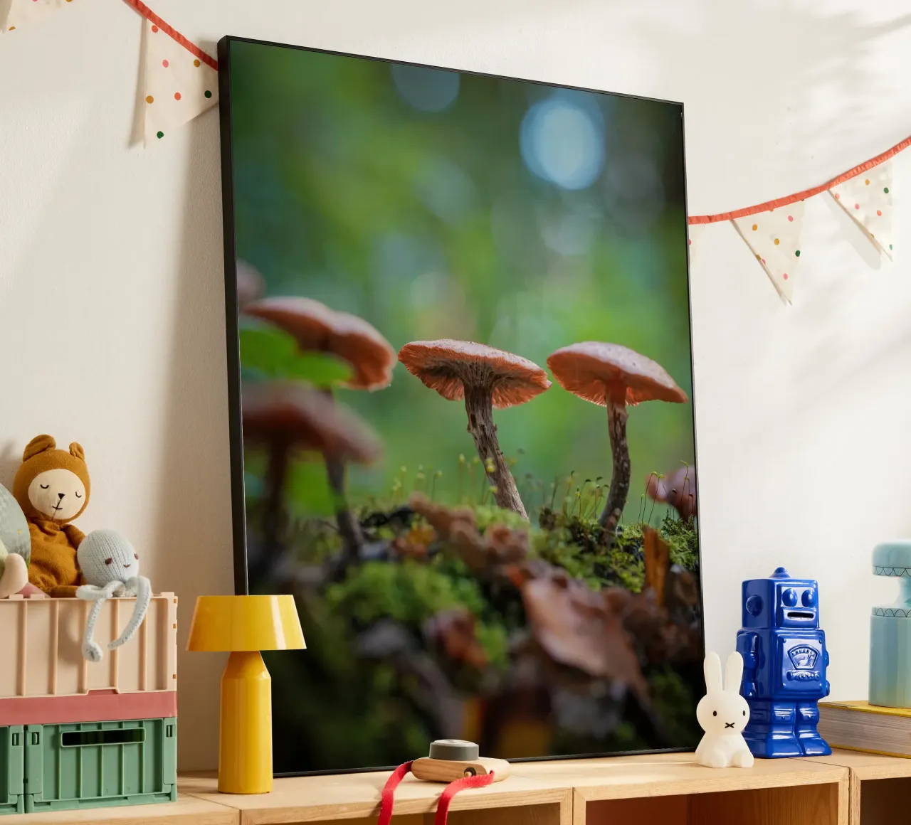 Funghi magic alluminio dibond da Tom's Wildlife