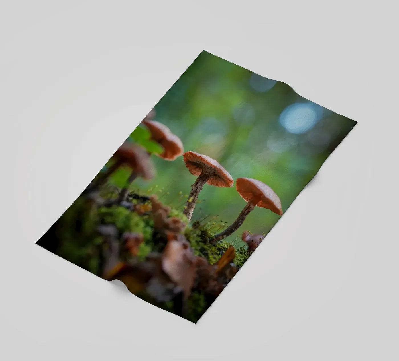 Magic mushrooms strandhanddoek van Tom's Wildlife