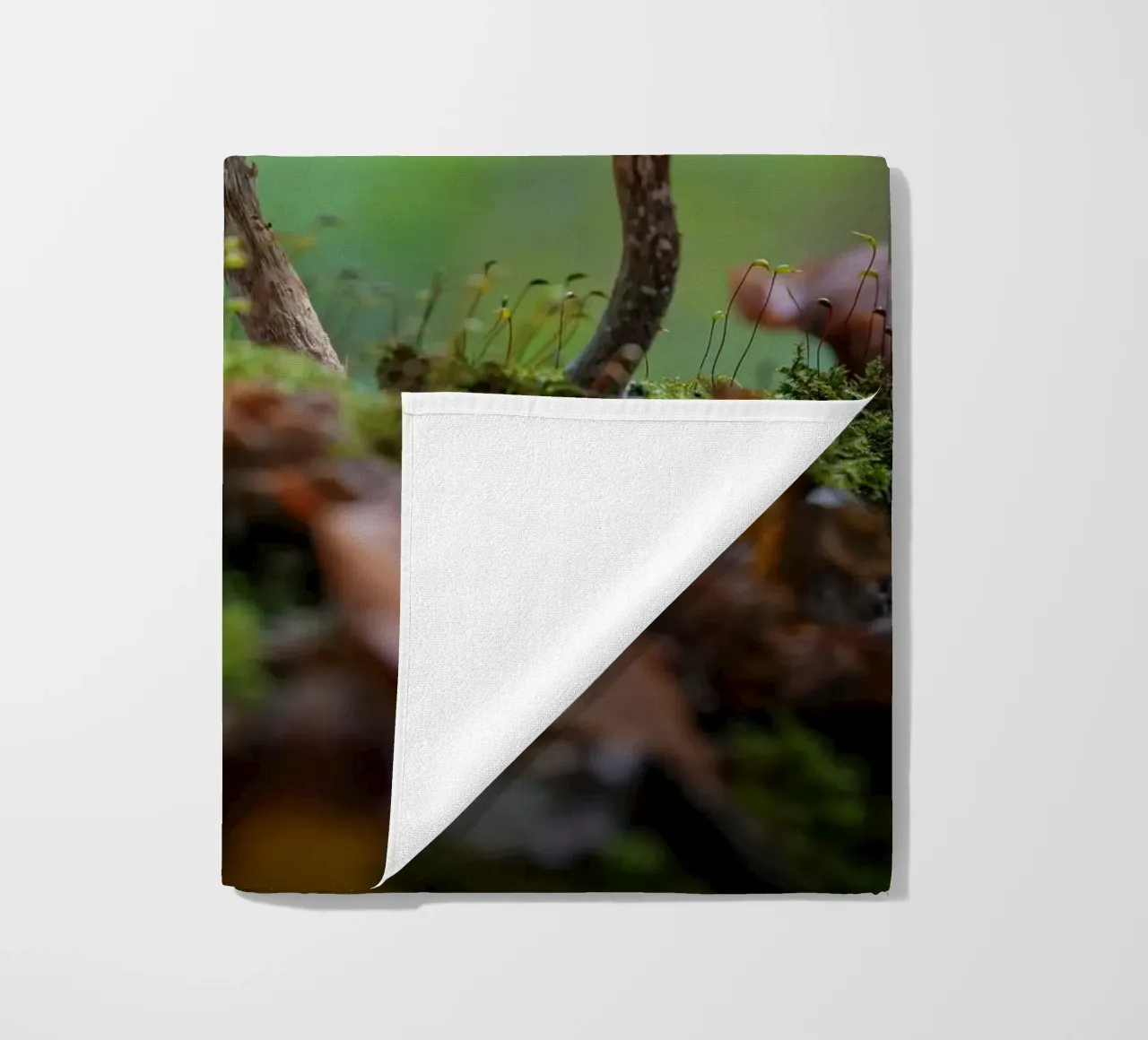 Funghi magic telo mare da Tom's Wildlife